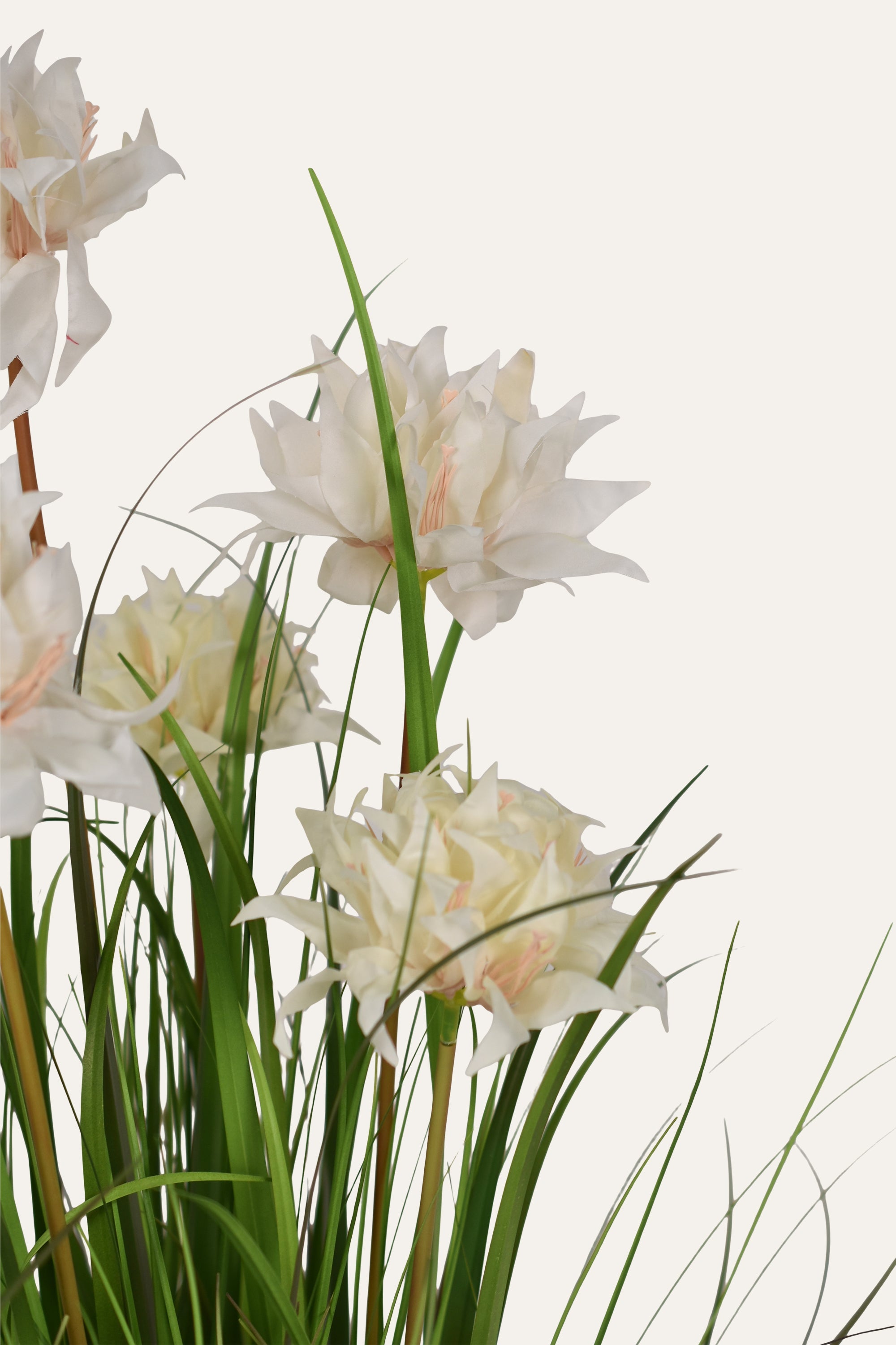 Decorative Majestic Bloom Plant
