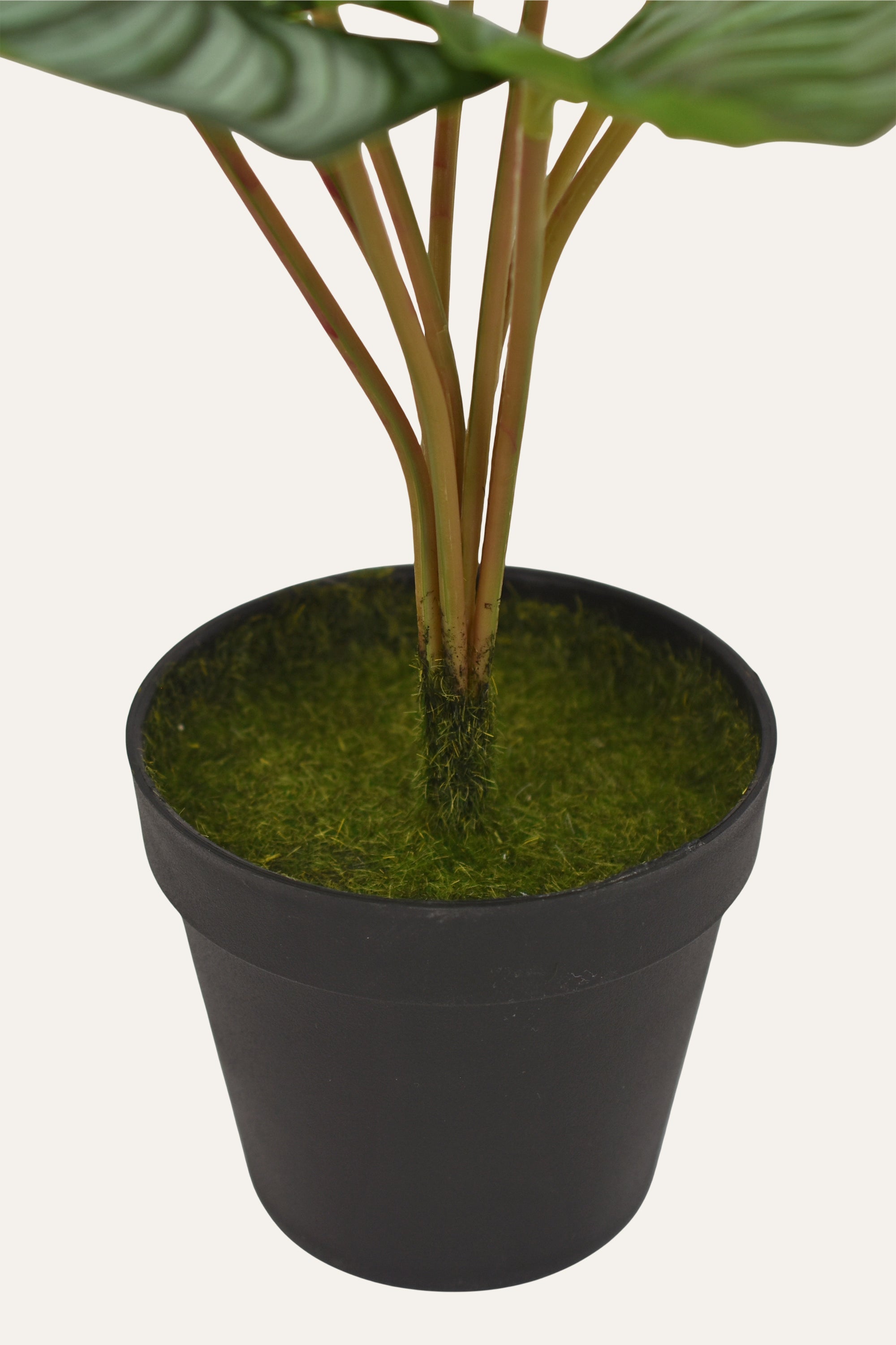 Decorative Artificial Plant