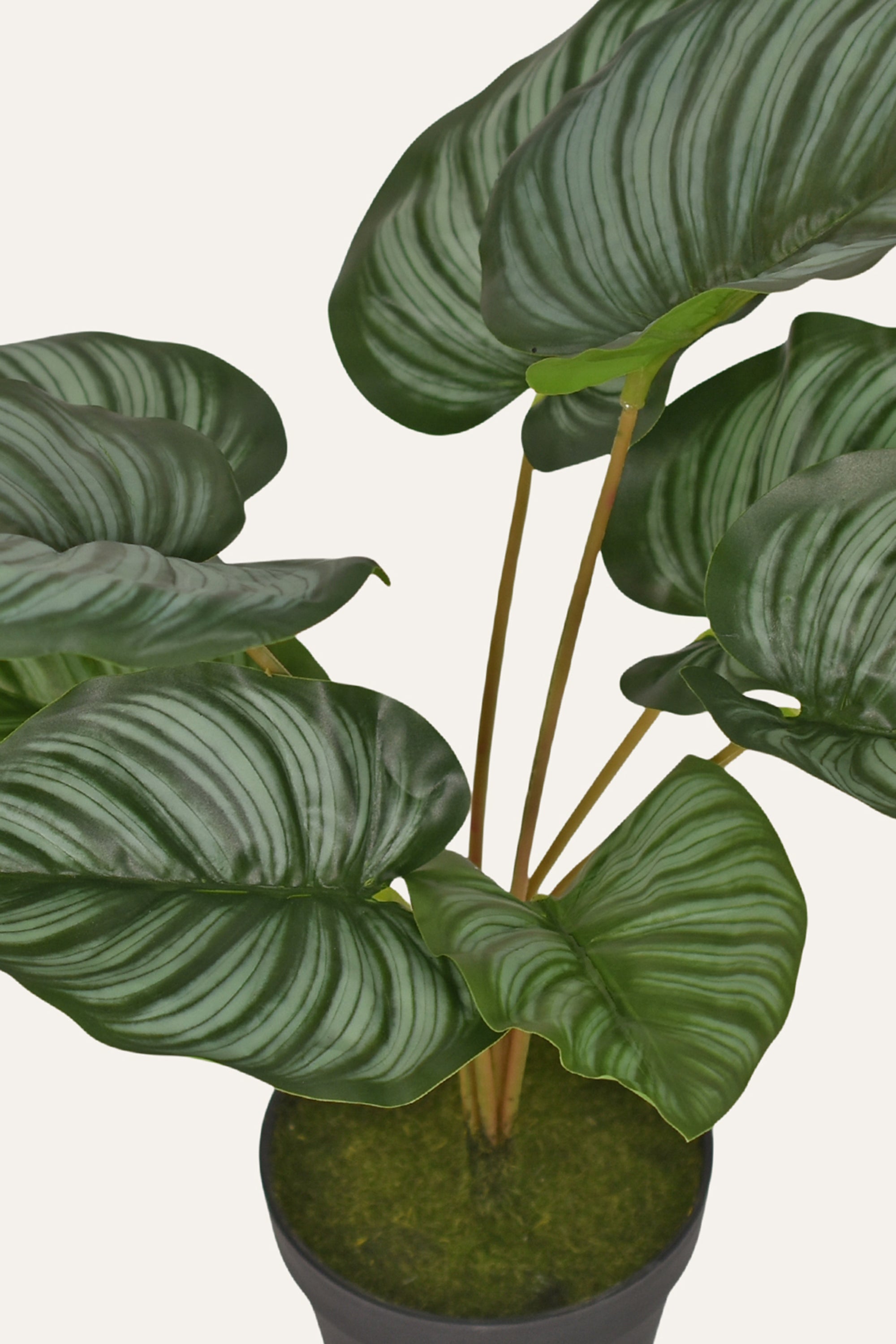 Stripe Leaf Artificial Plant Decor
