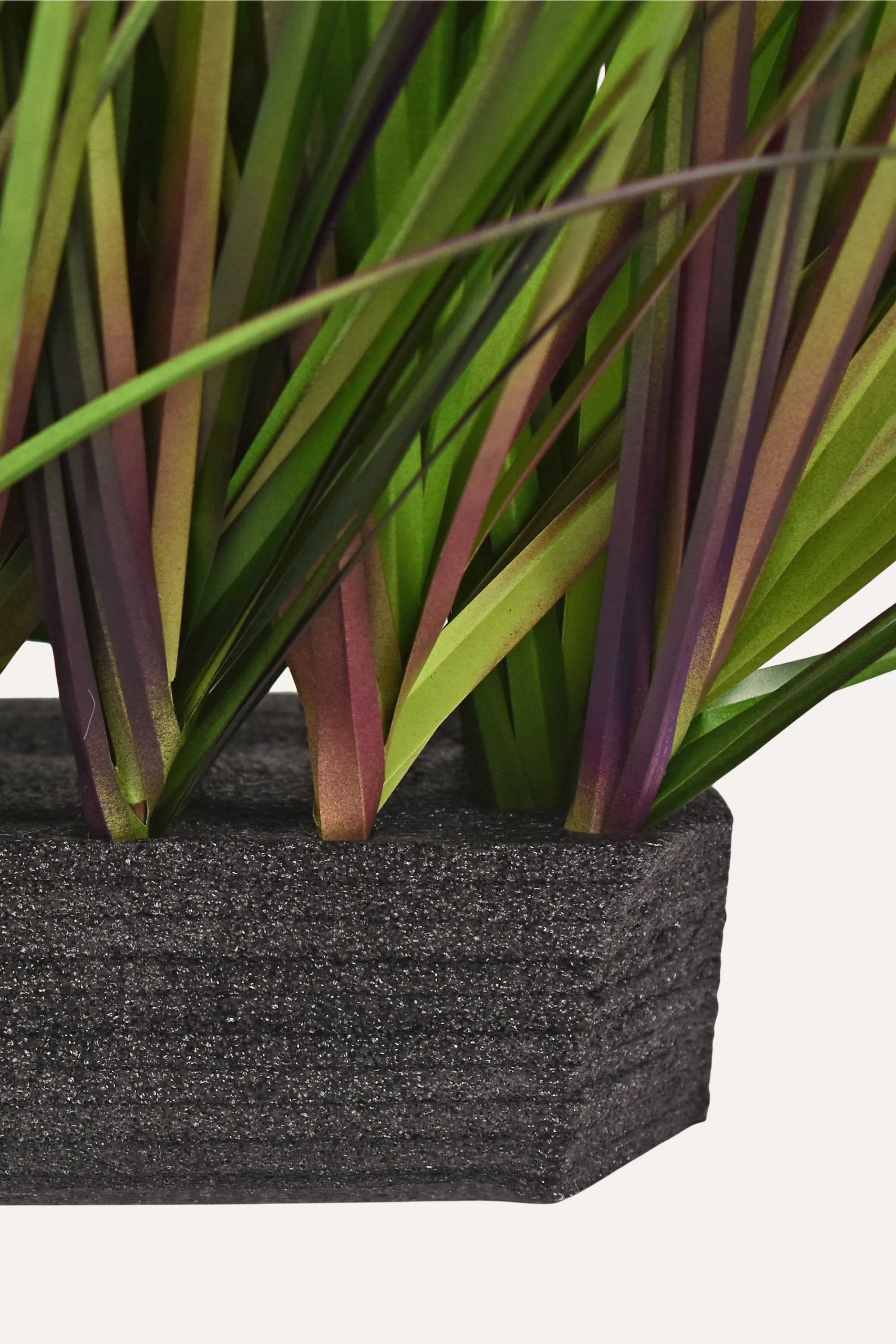 Decorative Plant