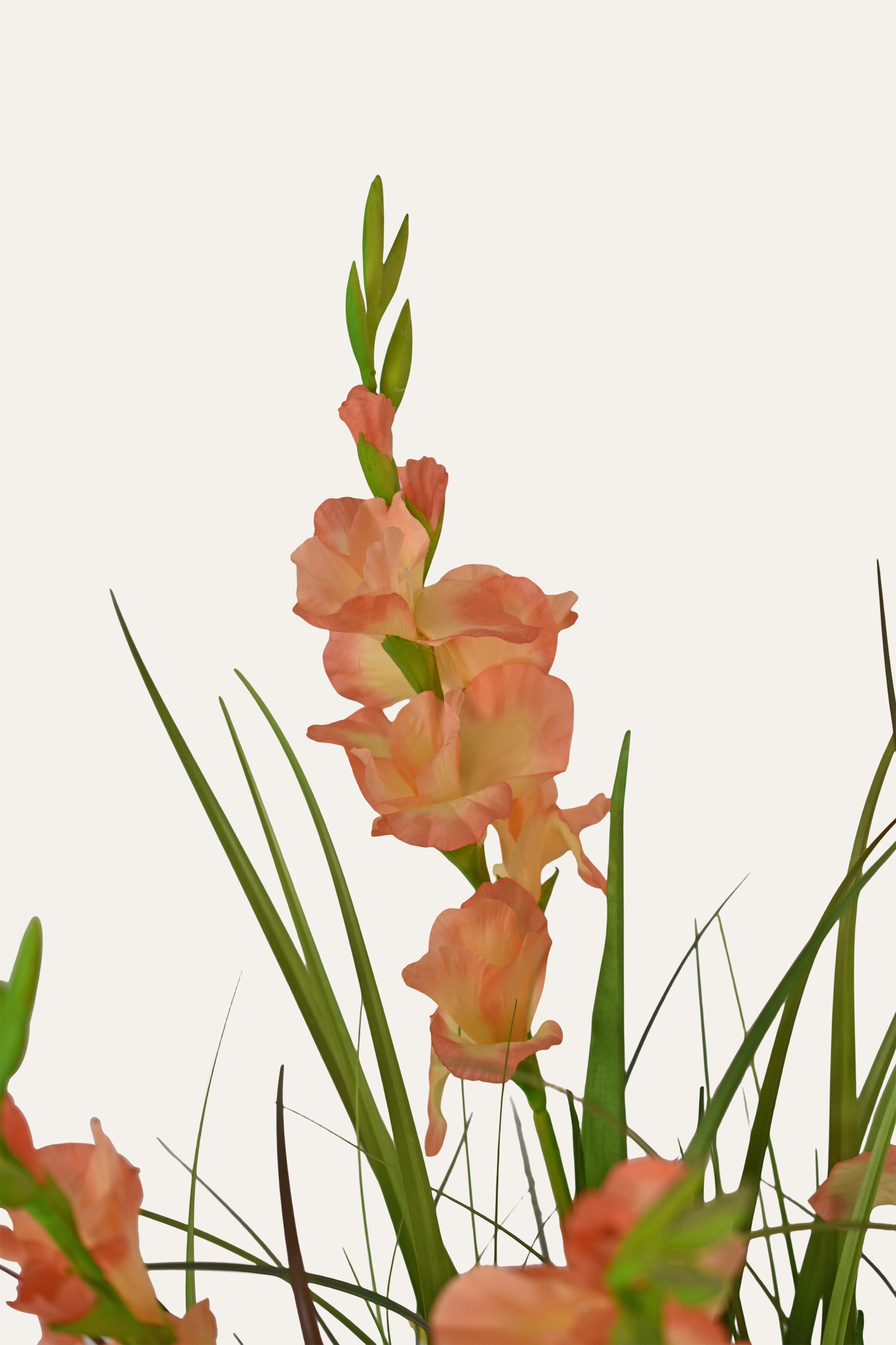Blush Harmony Artificial Plant