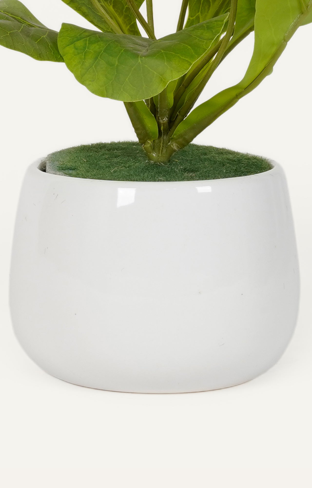 Pair of White Ceramic Bud Vases with Monstera Deliciosa Cuttings-
2