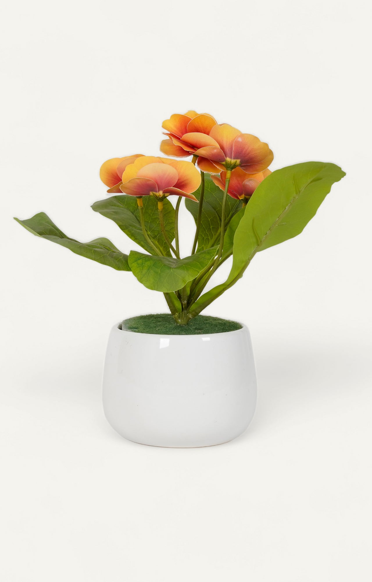 Pair of White Ceramic Bud Vases with Monstera Deliciosa Cuttings_4