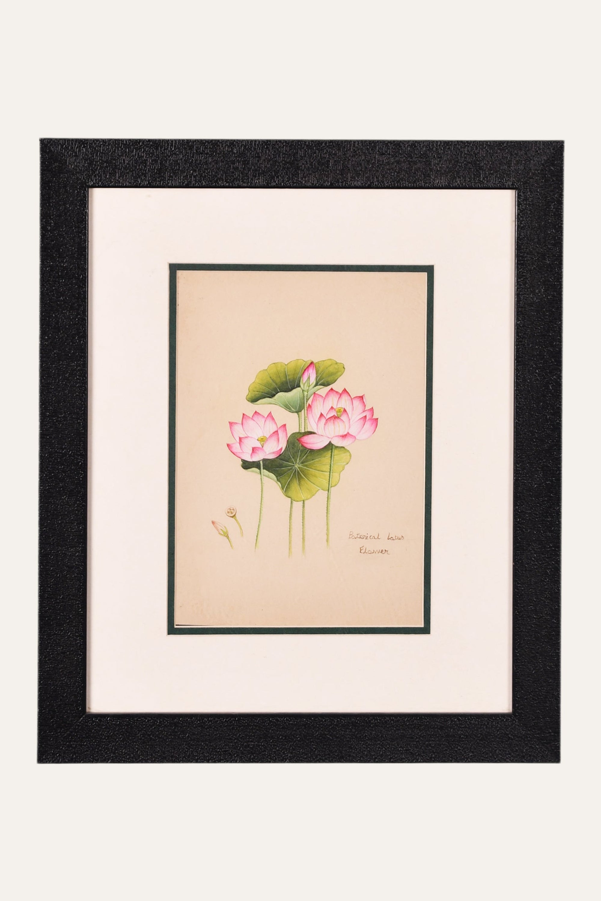 Pink Lotus Miniature Painting