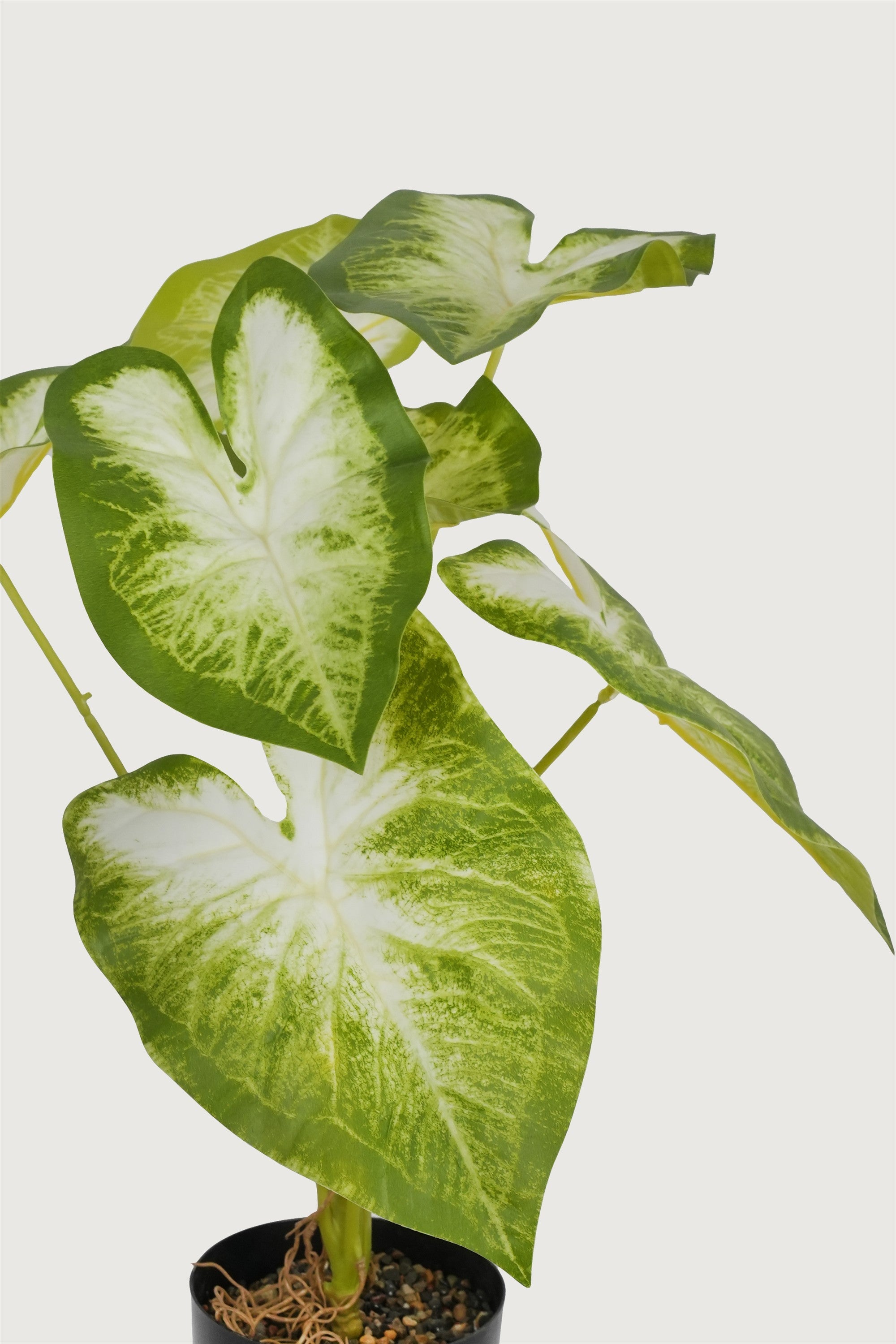 Premium faux caladium leaves