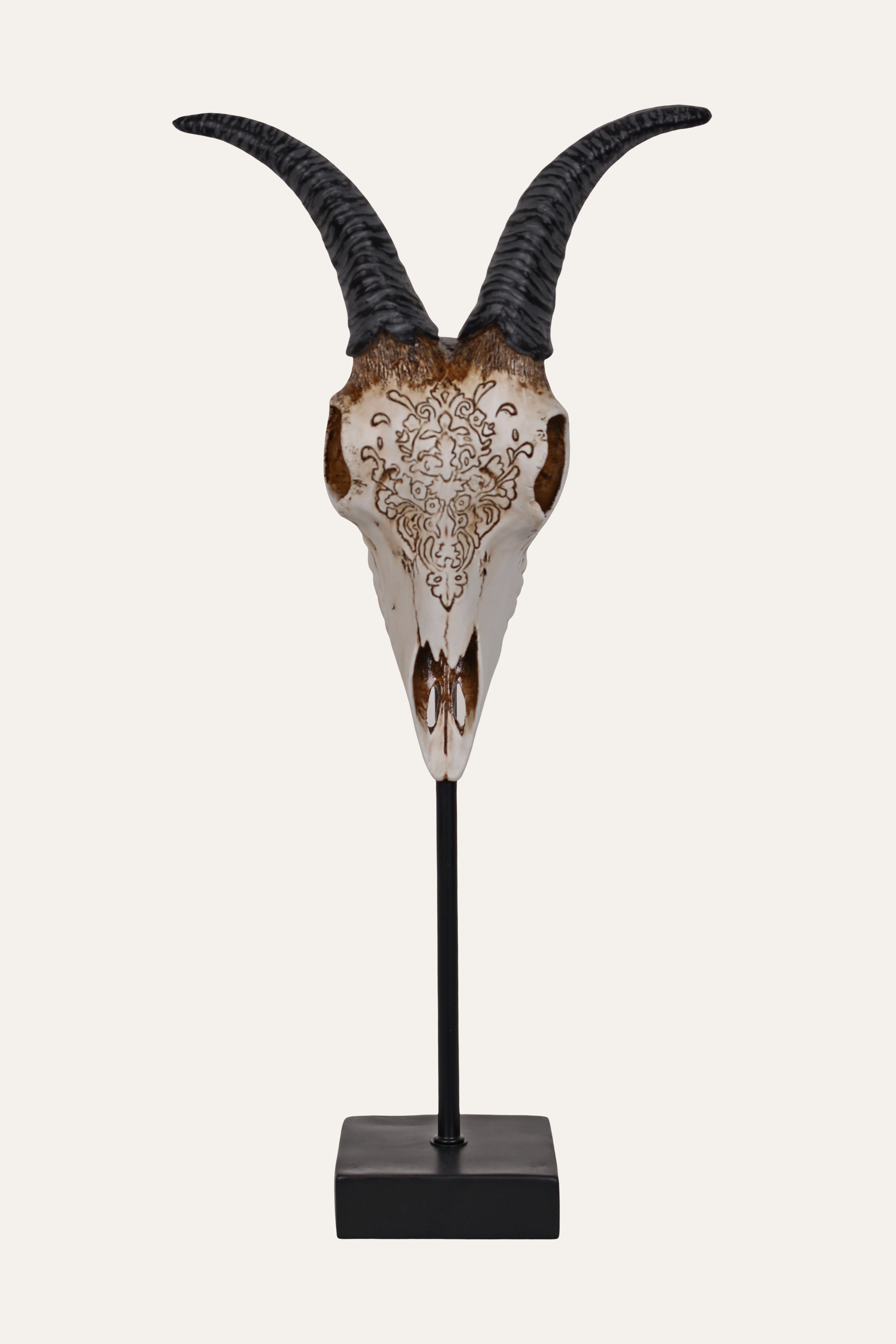 Resin Antelope Skull Sculpture