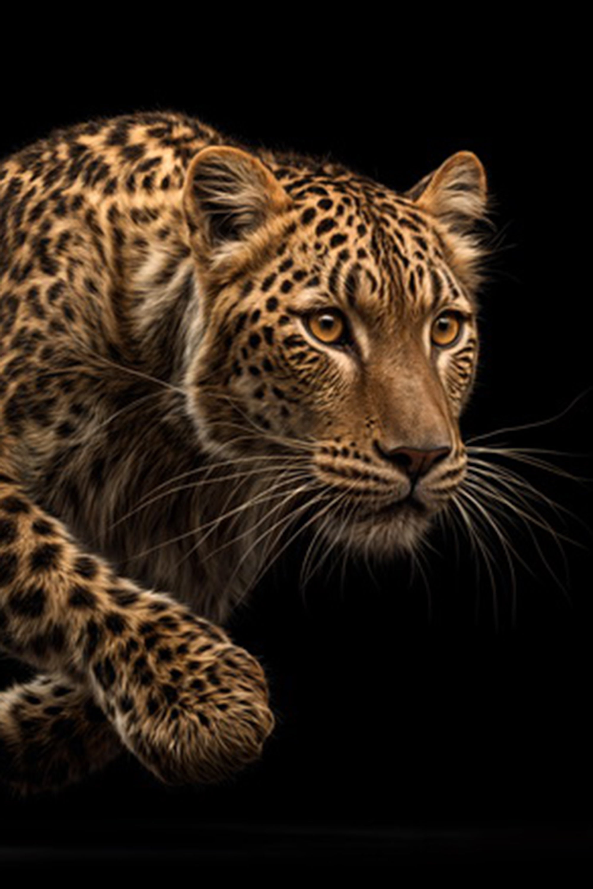 Stealthy Leopard glass painting