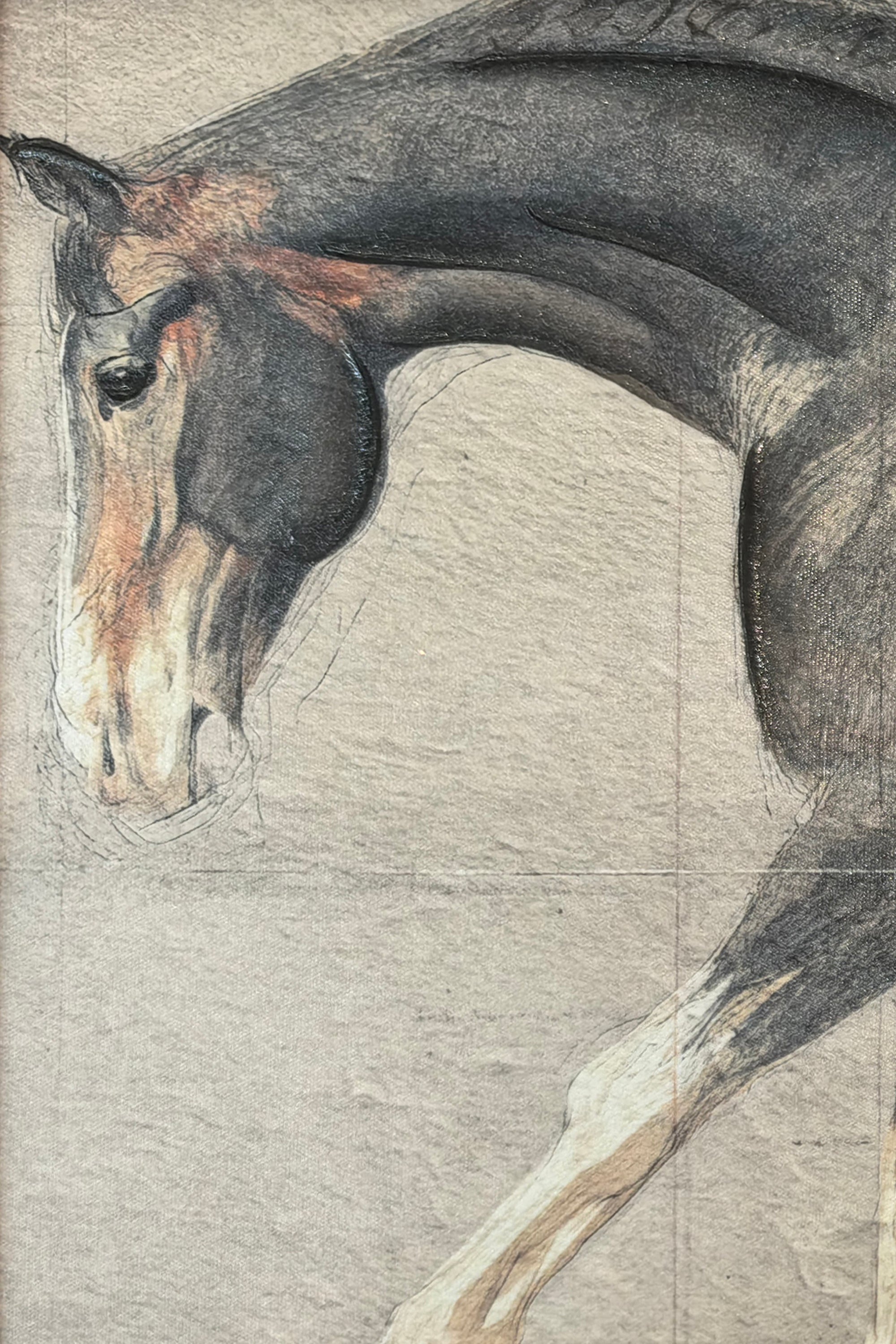 Stallion Motion Portrait