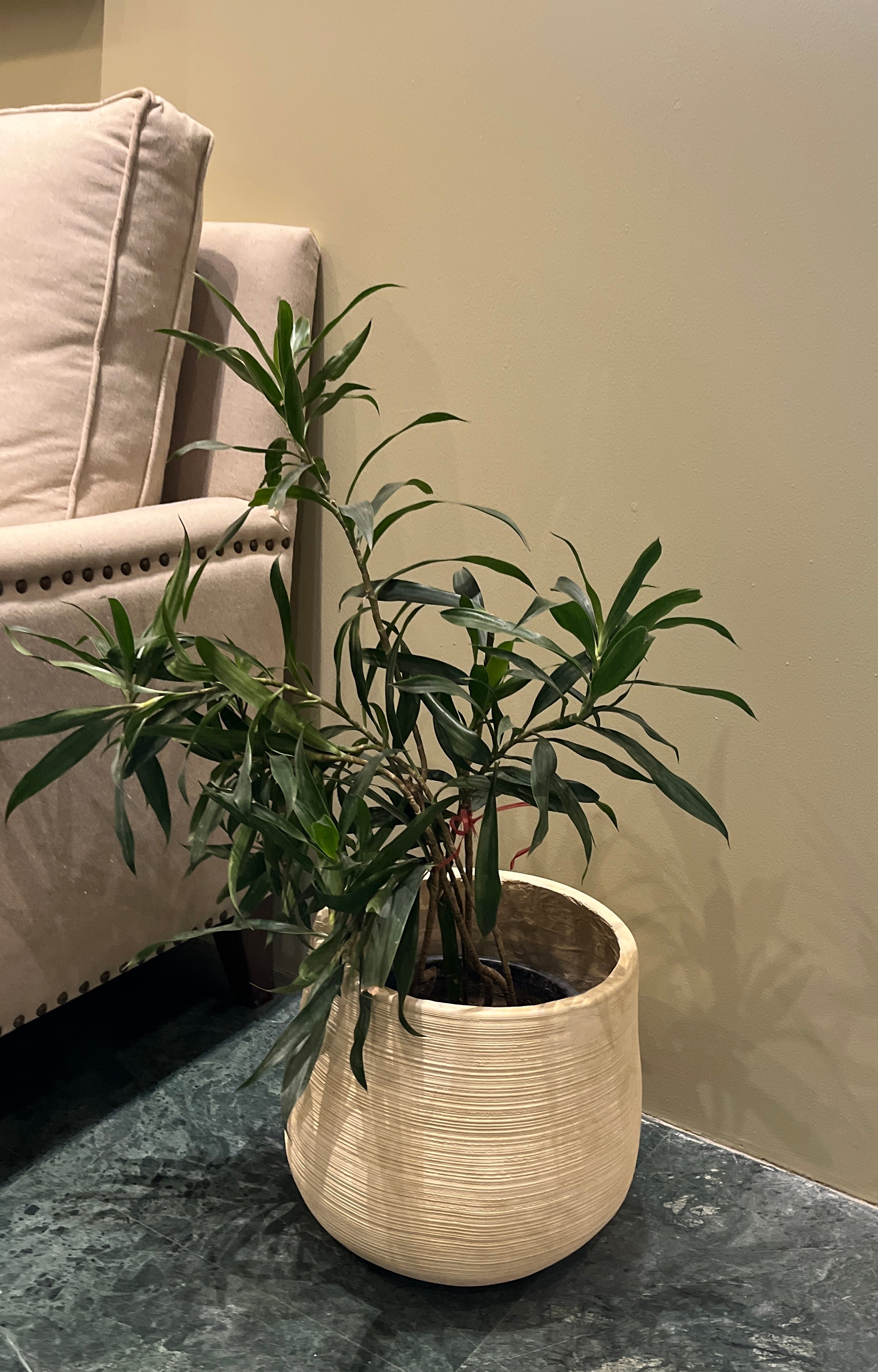 off-white Planter