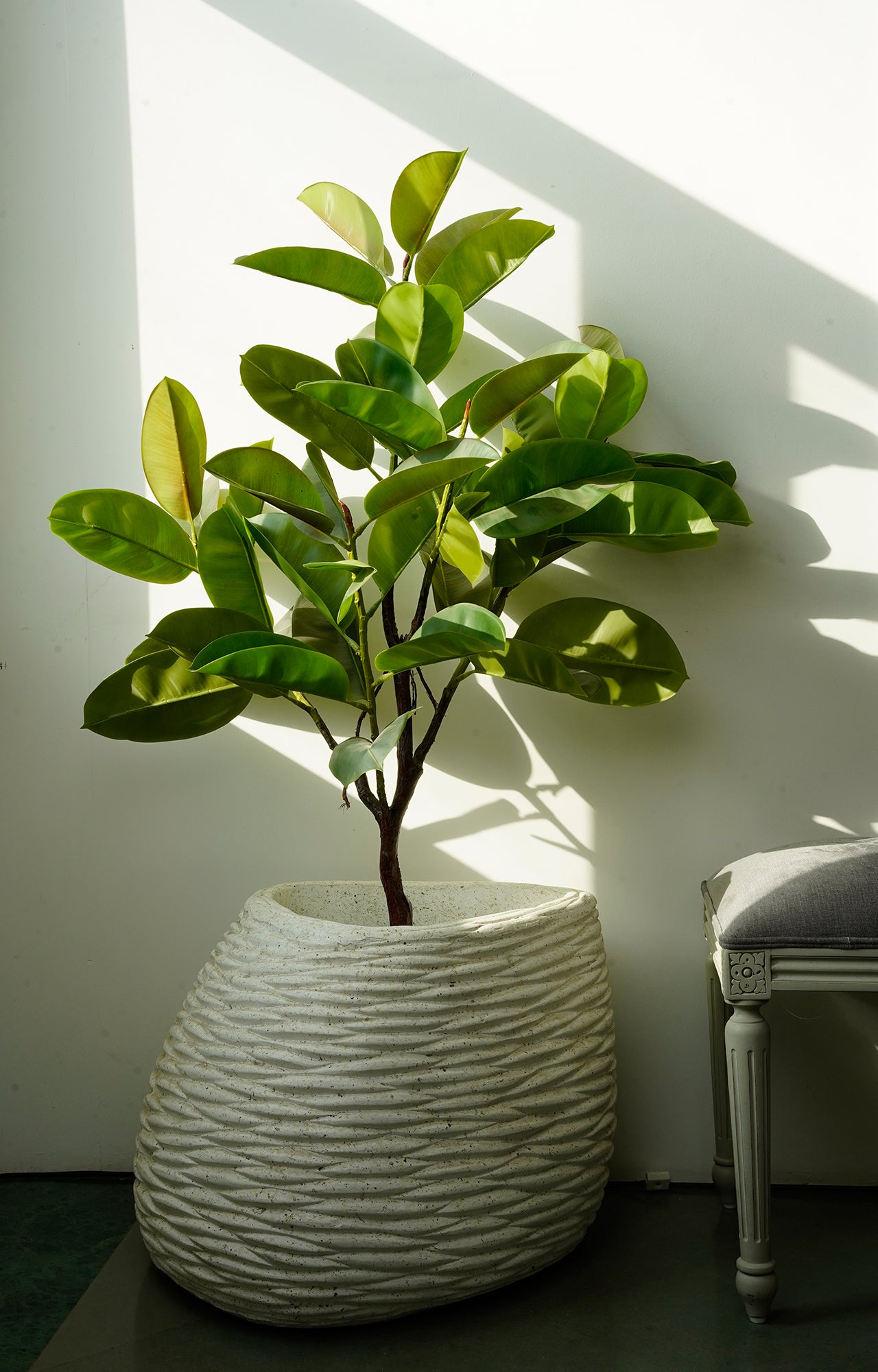 Decorative Ripple Resin Planter