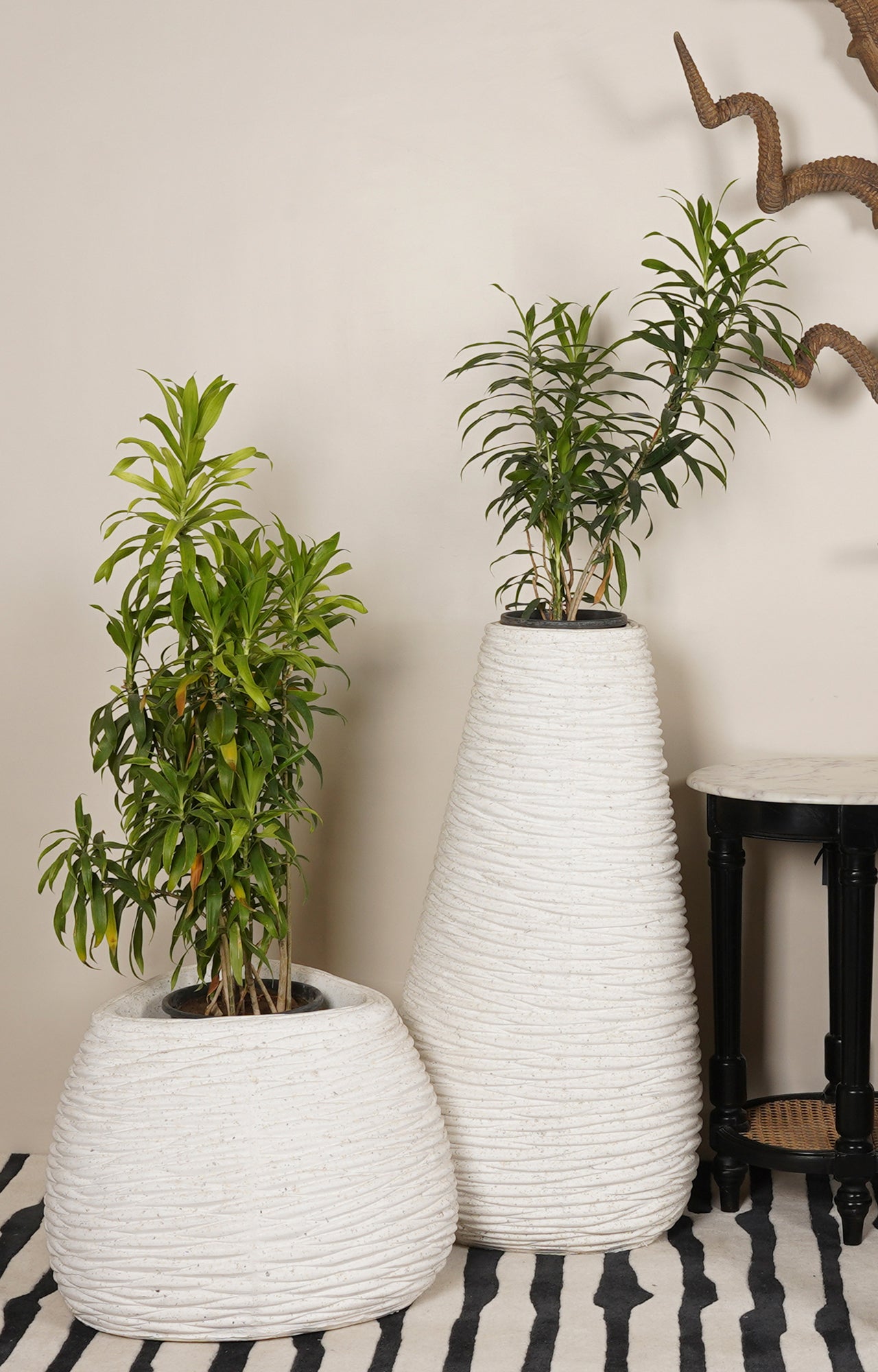 Decorative Vase For Home Decor