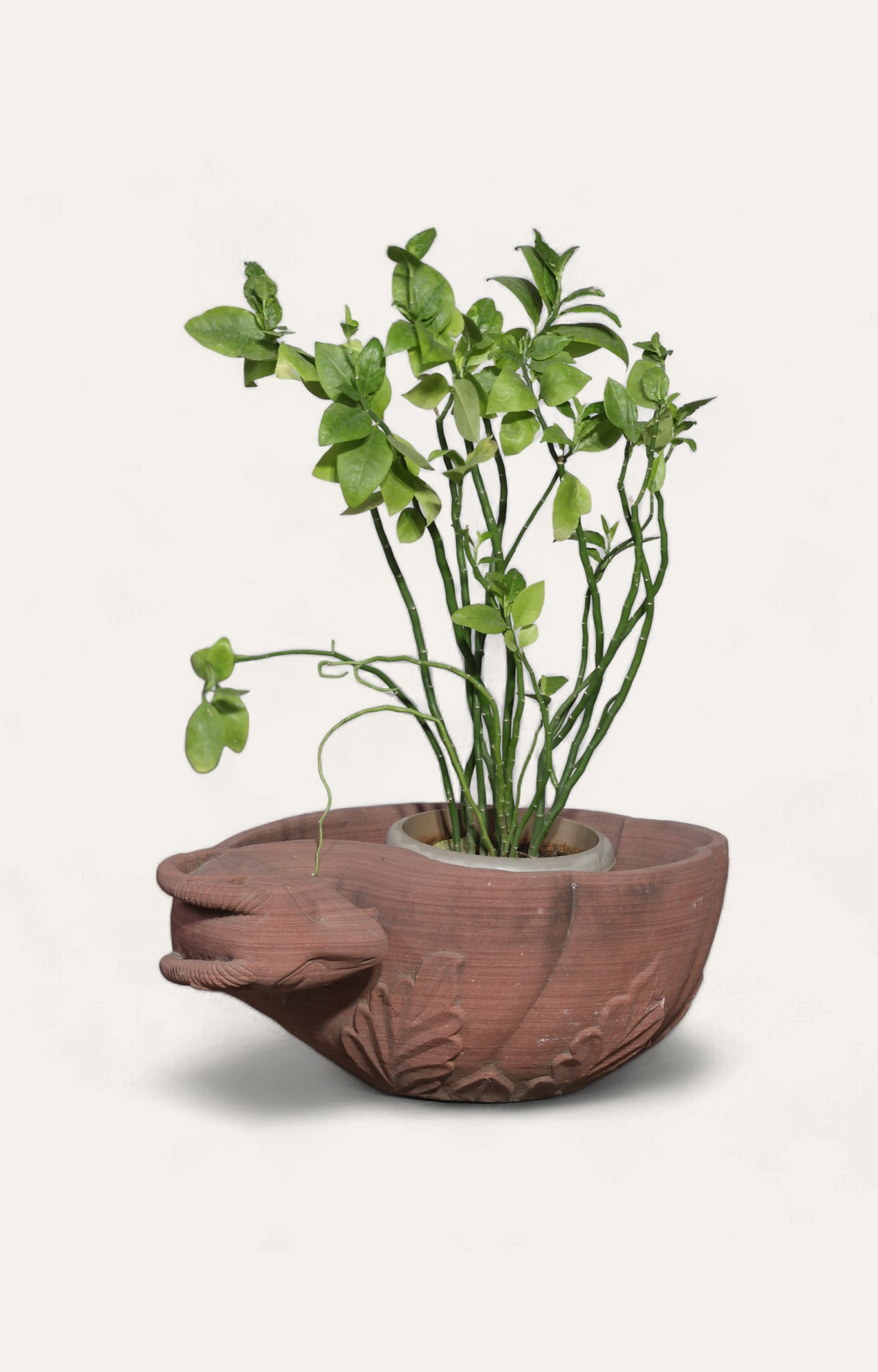 Rams Heads Planter