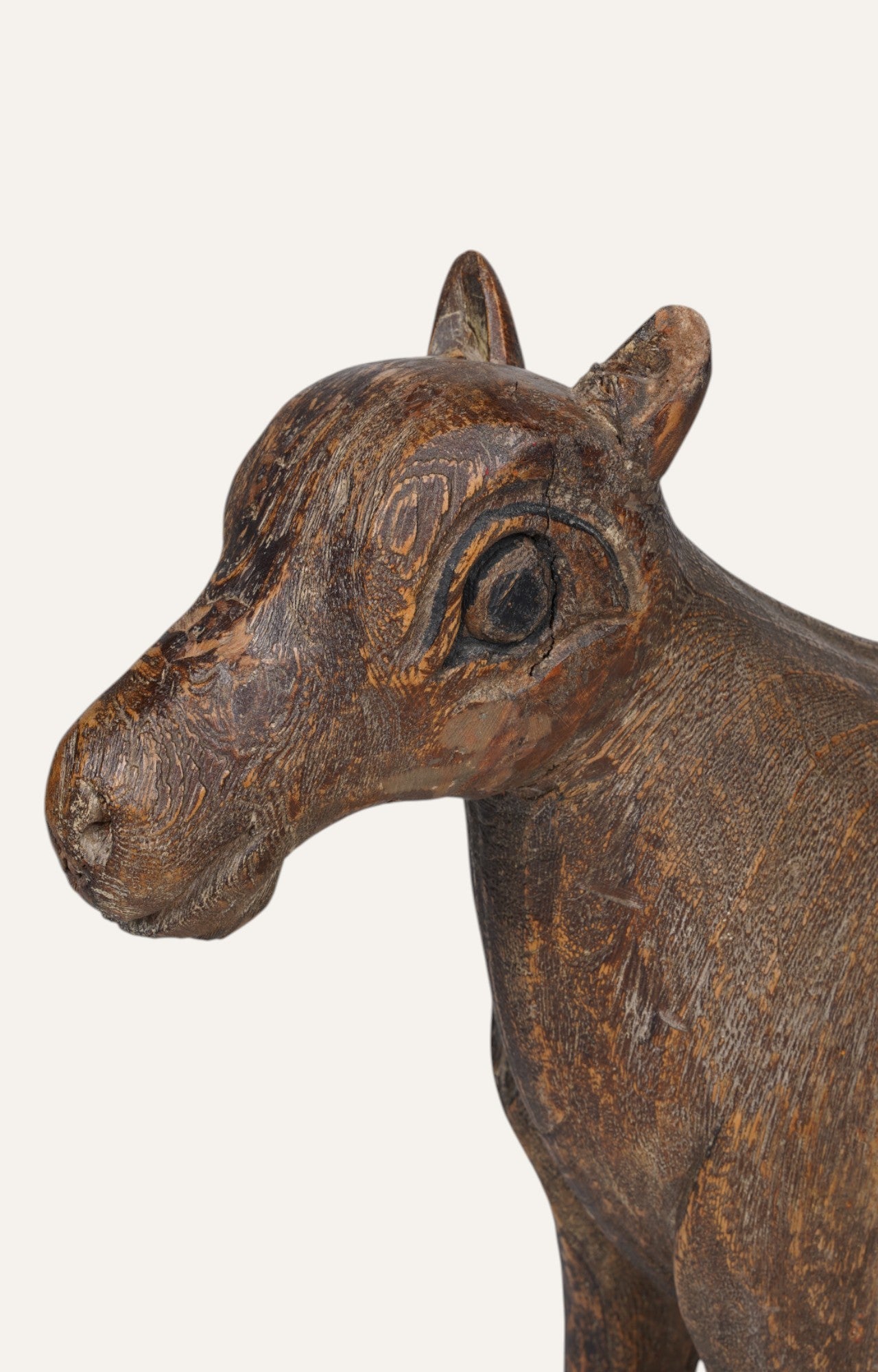 teak horse