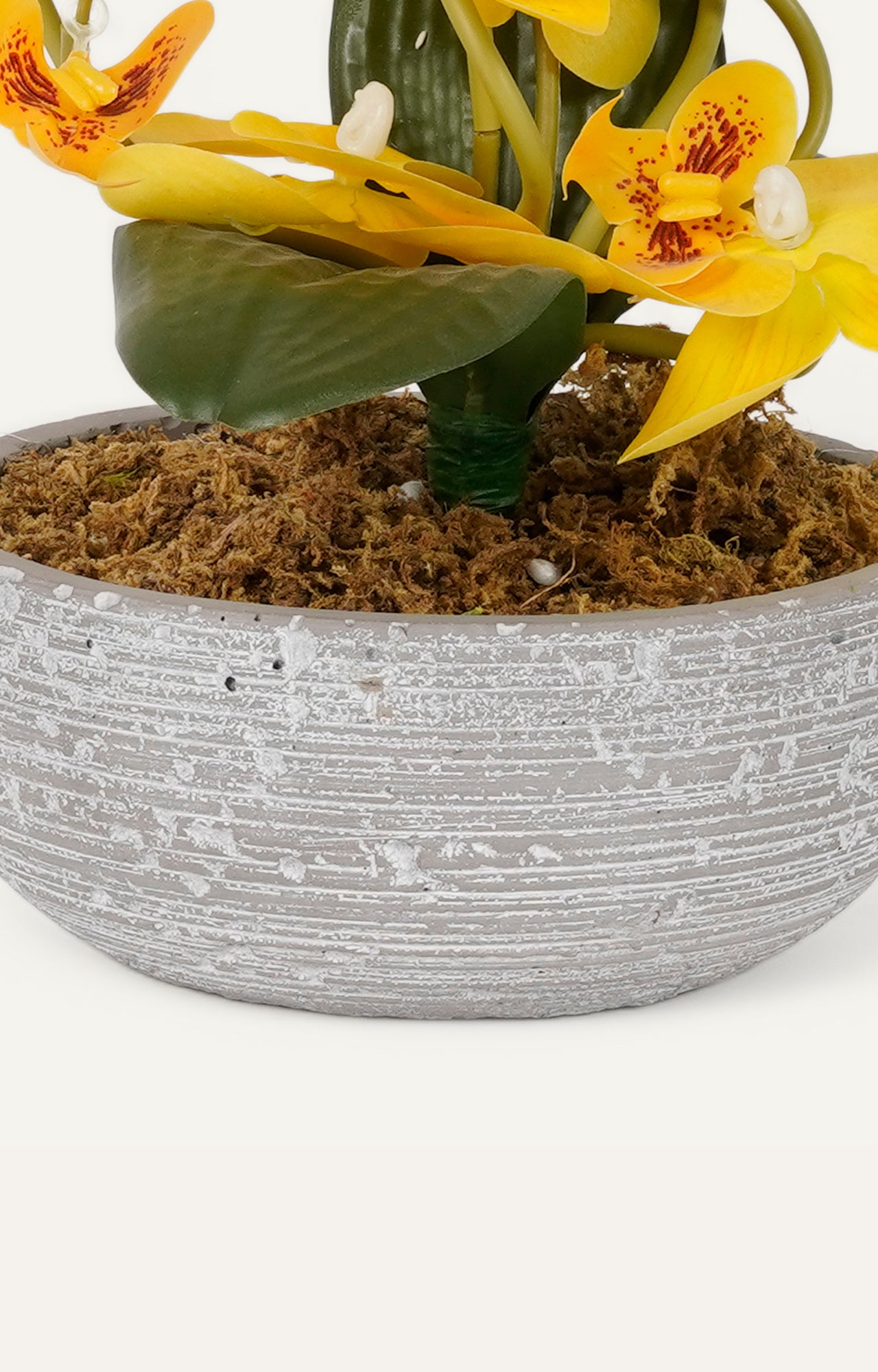 Speckled light grey Ceramic Vase with Bud Opening_2