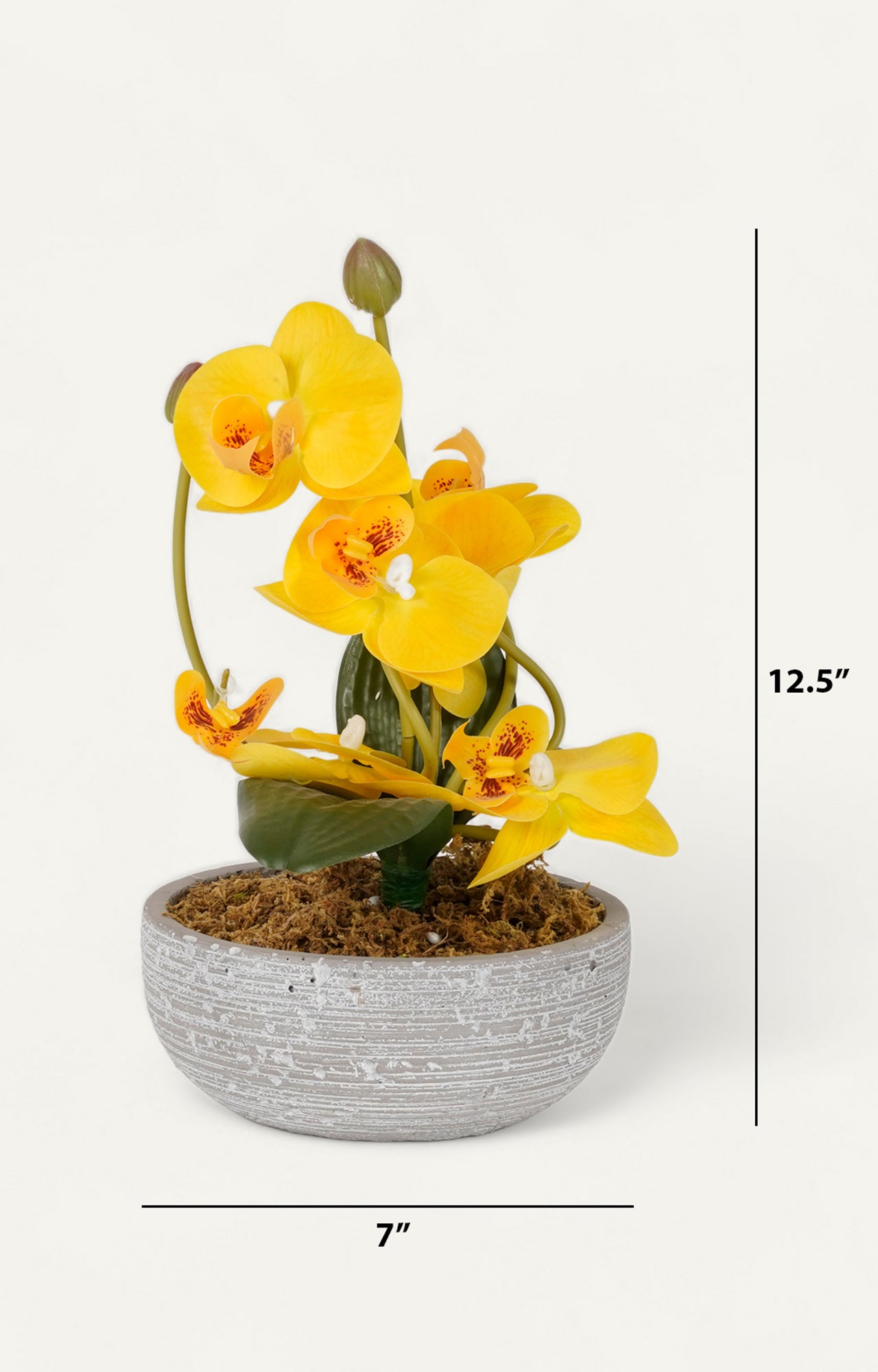 Speckled light grey Ceramic Vase with Bud Opening_size