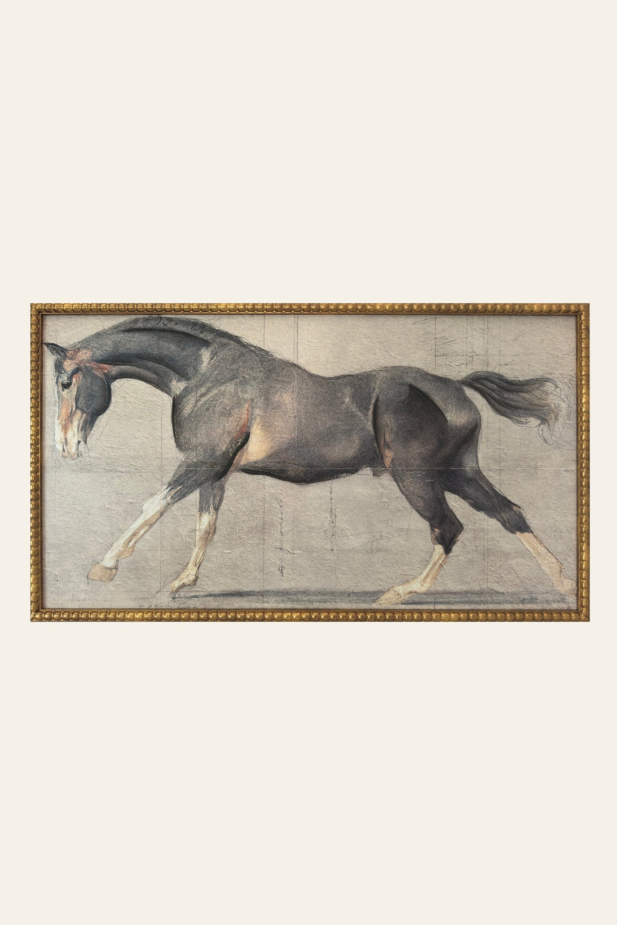 Stallion in Motion framed horse wall art