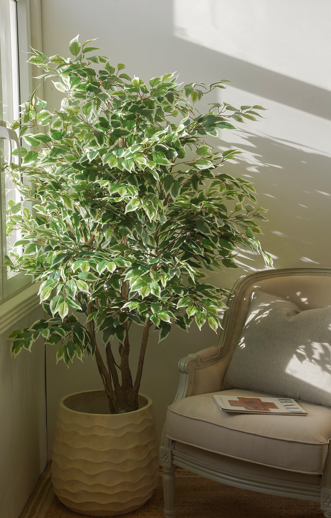 Artificial Variegated Ficus Tree – 6.5 Feet