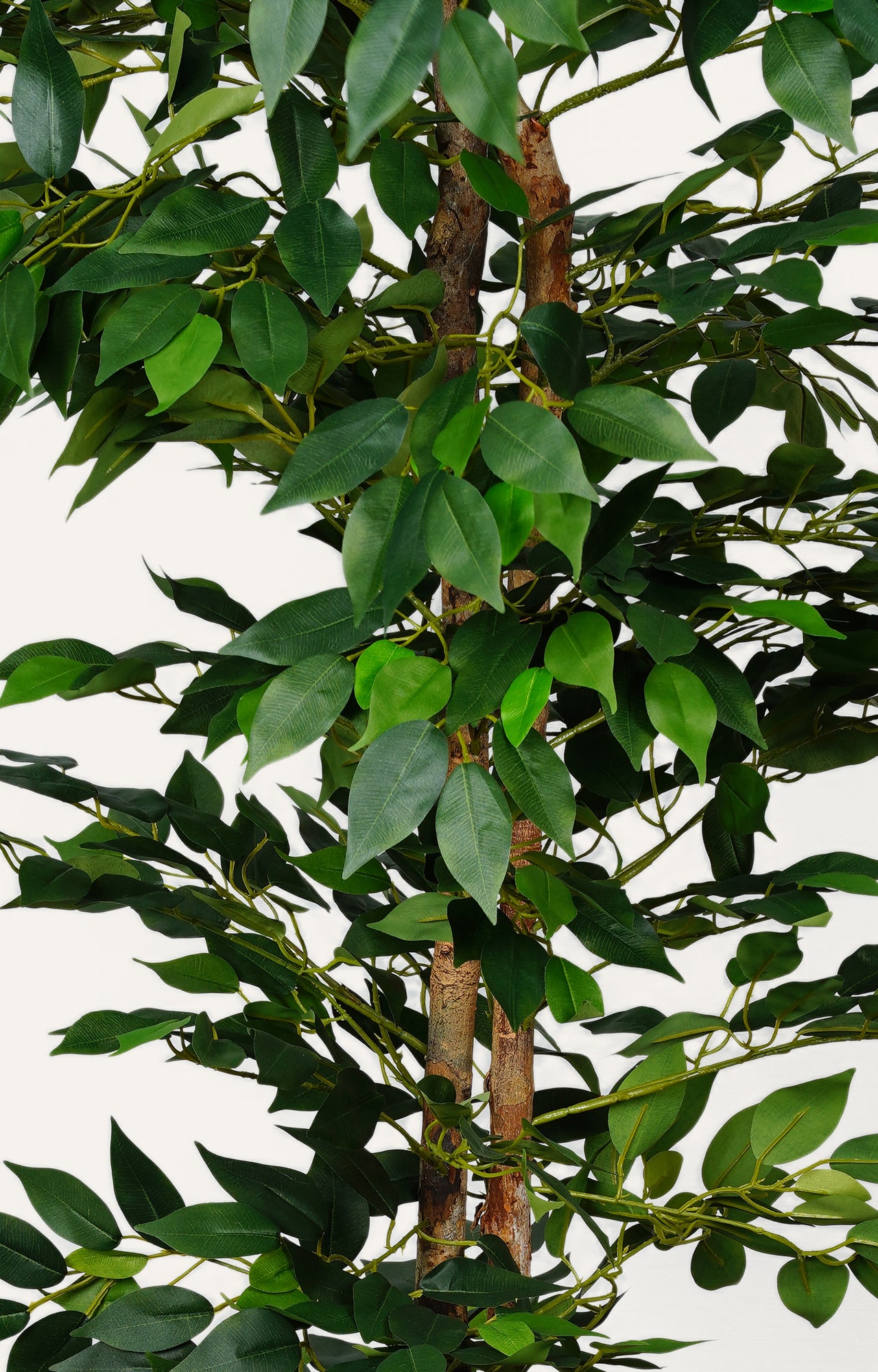 Decorative Artificial Ficus Tree