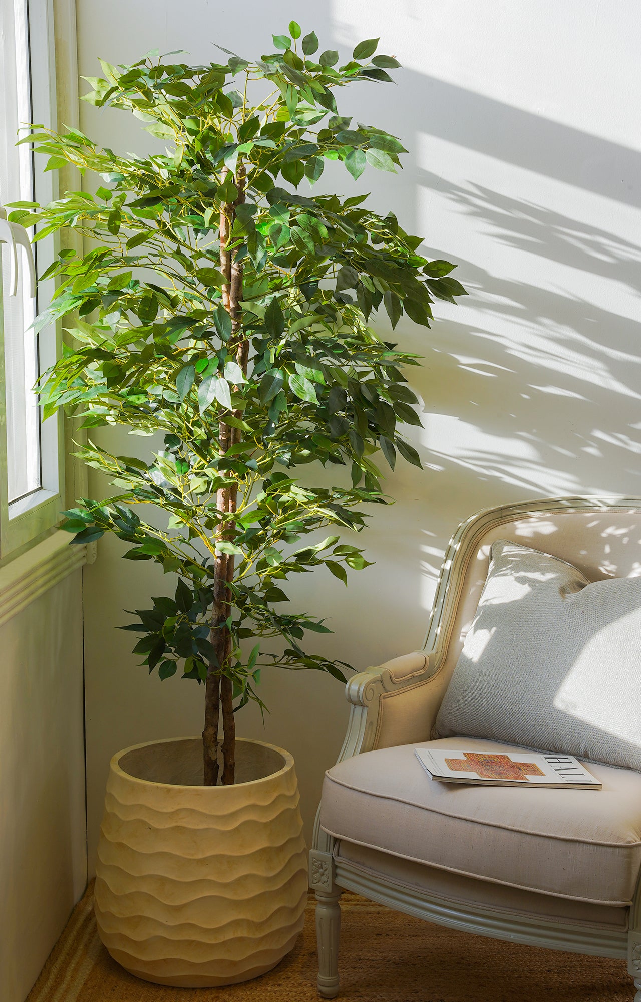 Artificial Ficus Tree – 6 Feet