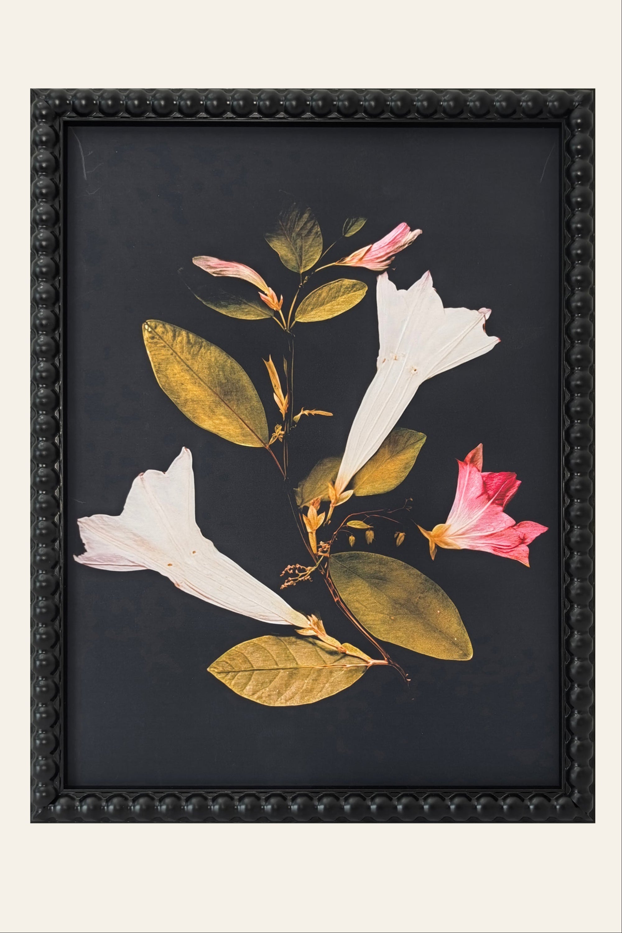 Trumpet Flower Botanical Print Wall Art