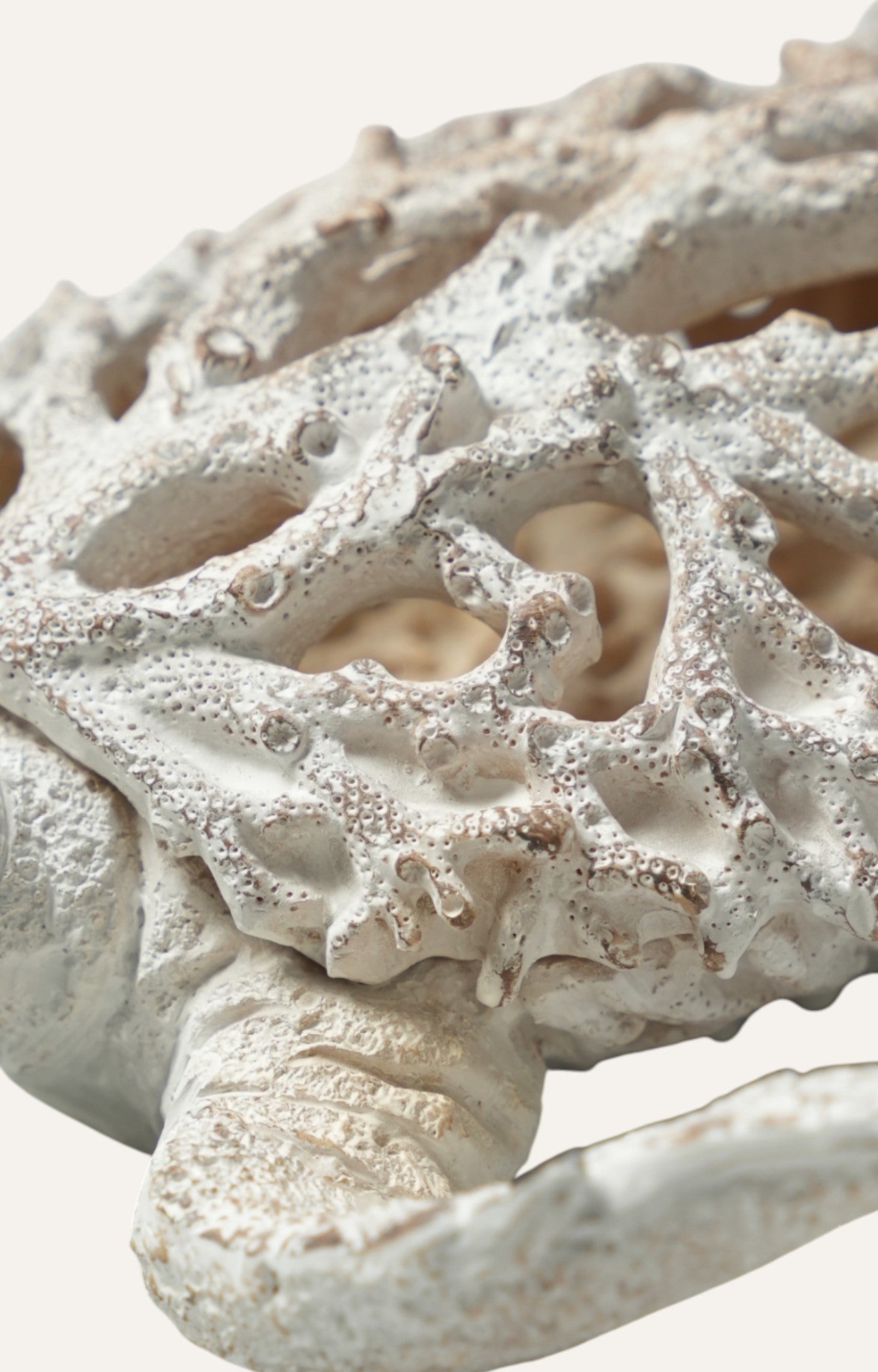 Polyresin Turtle