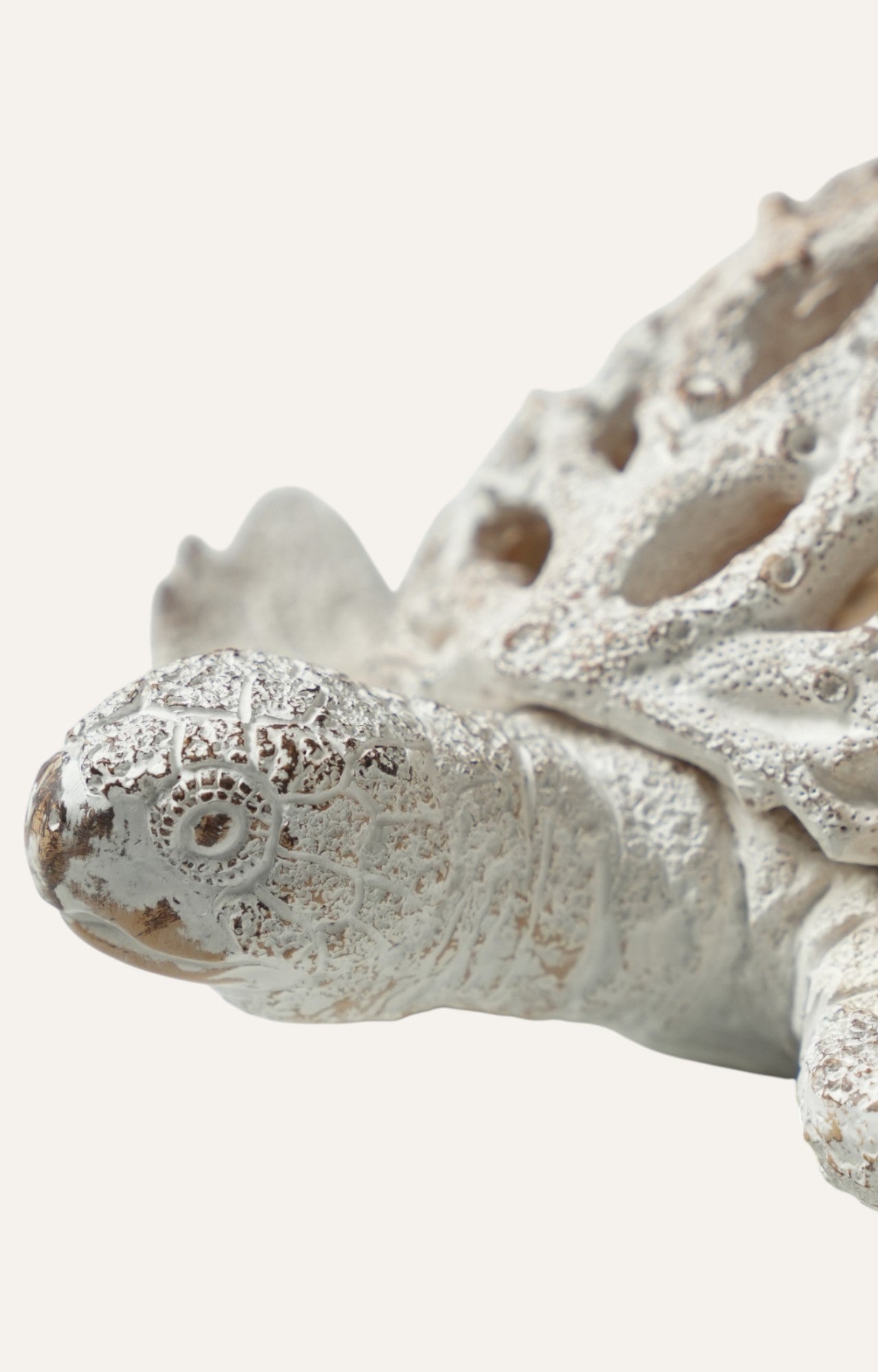 Turtle Sculpture
