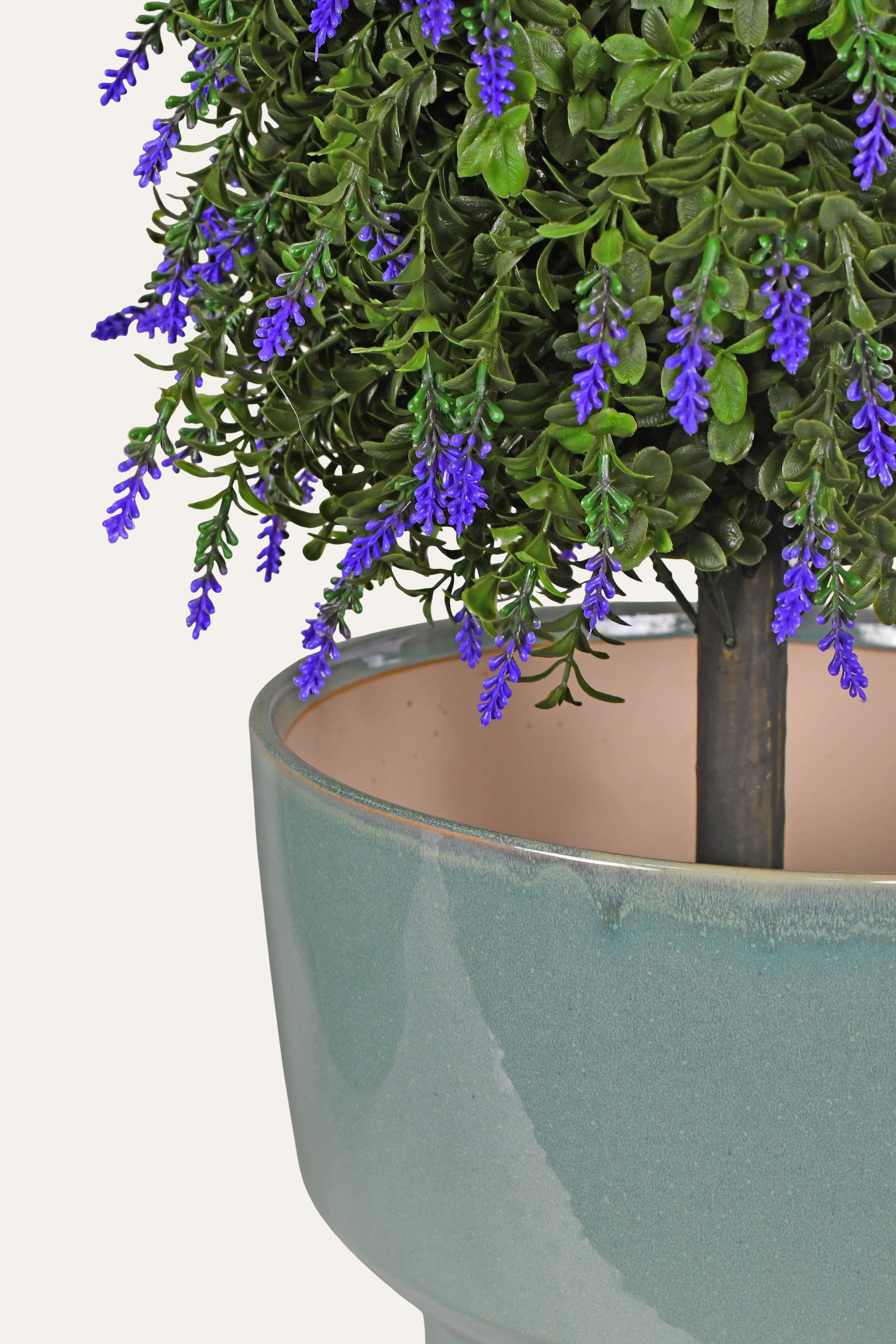 Potted plant with purple flowers