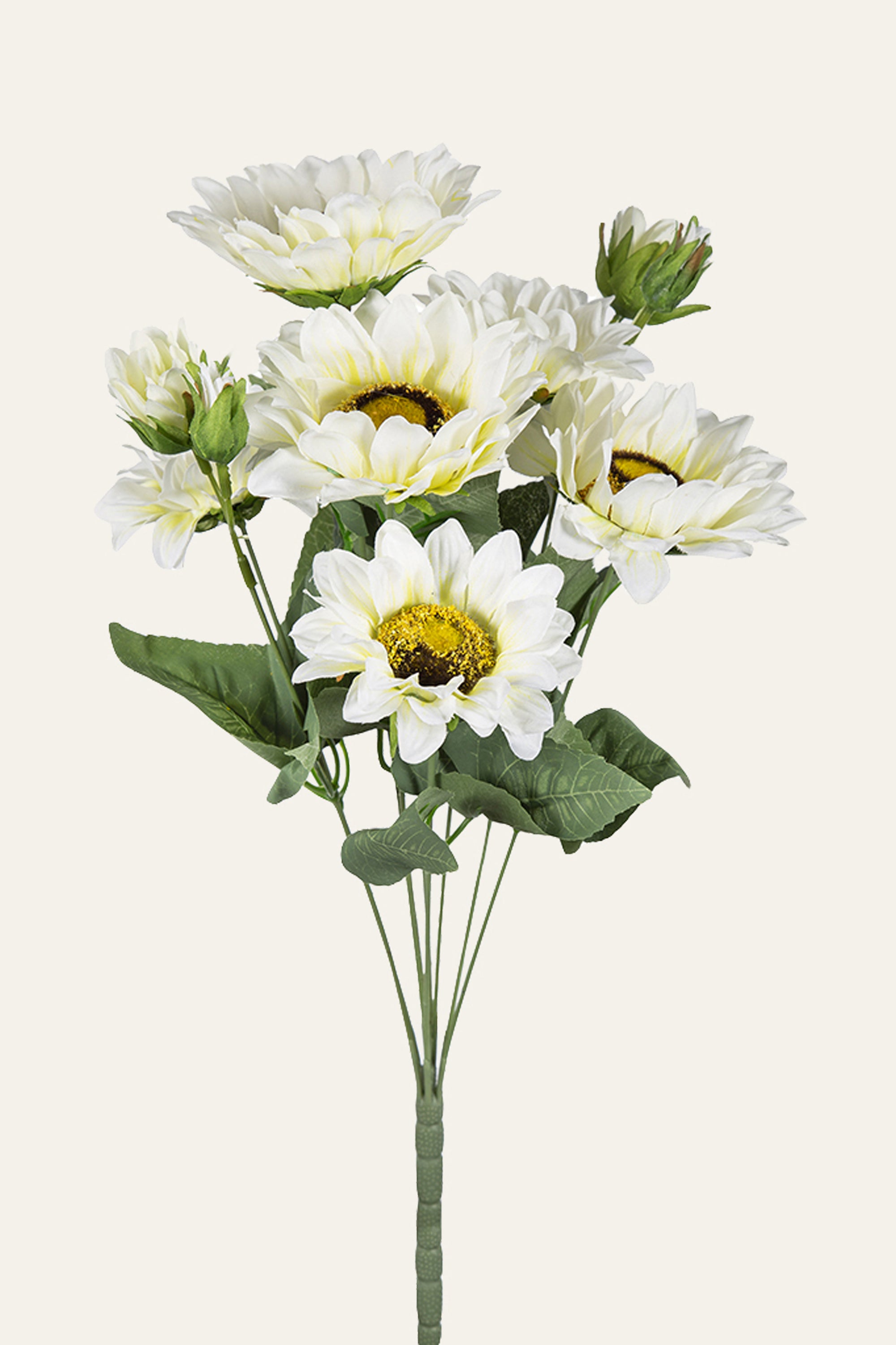 White Sunflower Flower Bunch