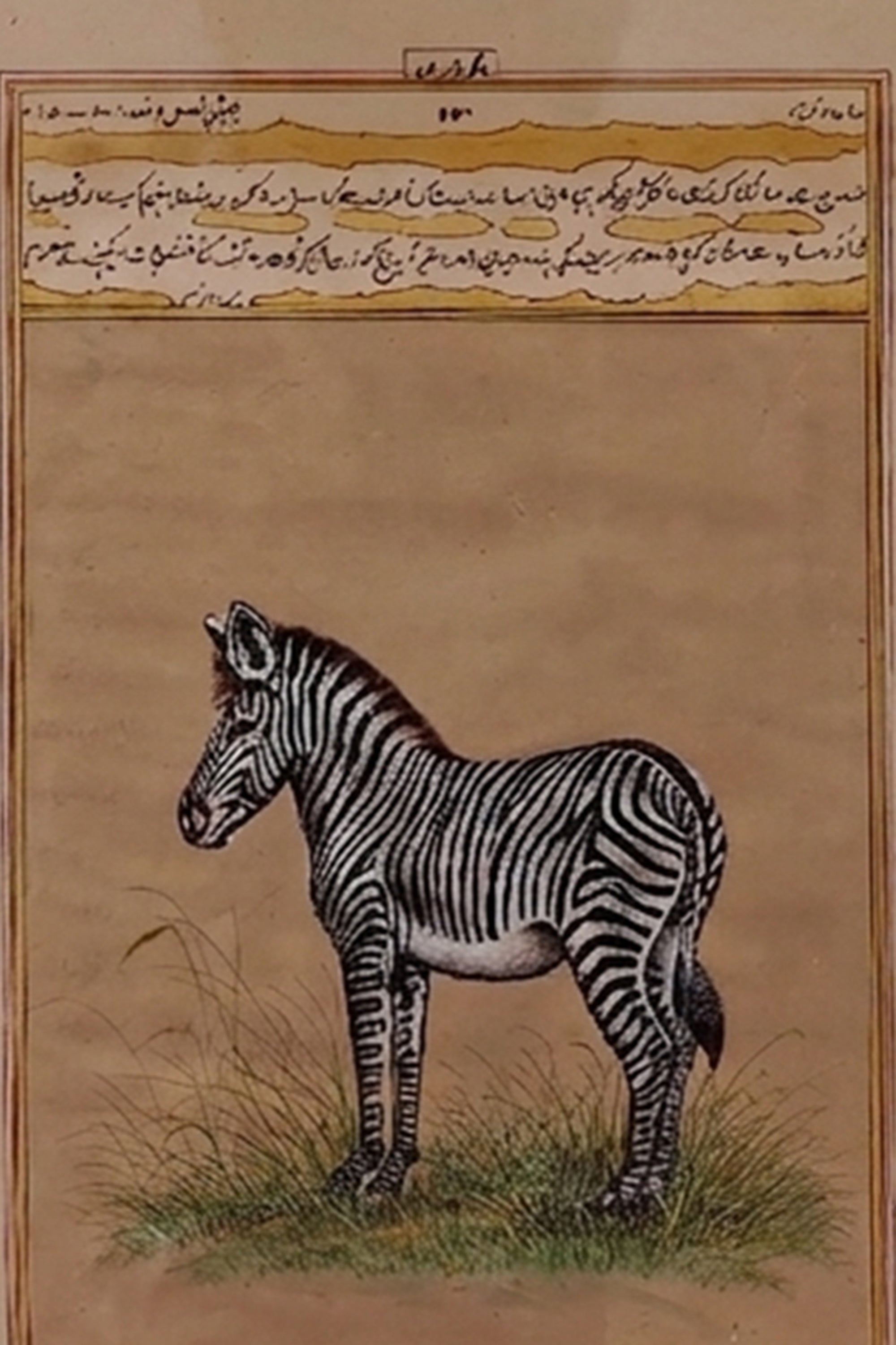 Zebra Miniature Painting