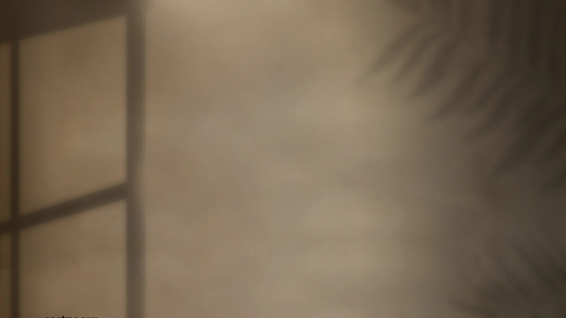 collection Page Background