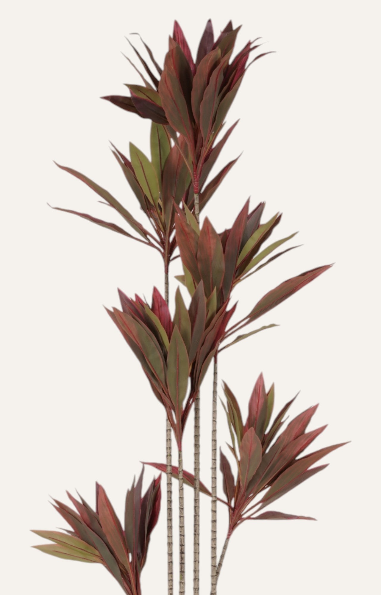 Artificial Red Cordyline Plant - 6 Feet