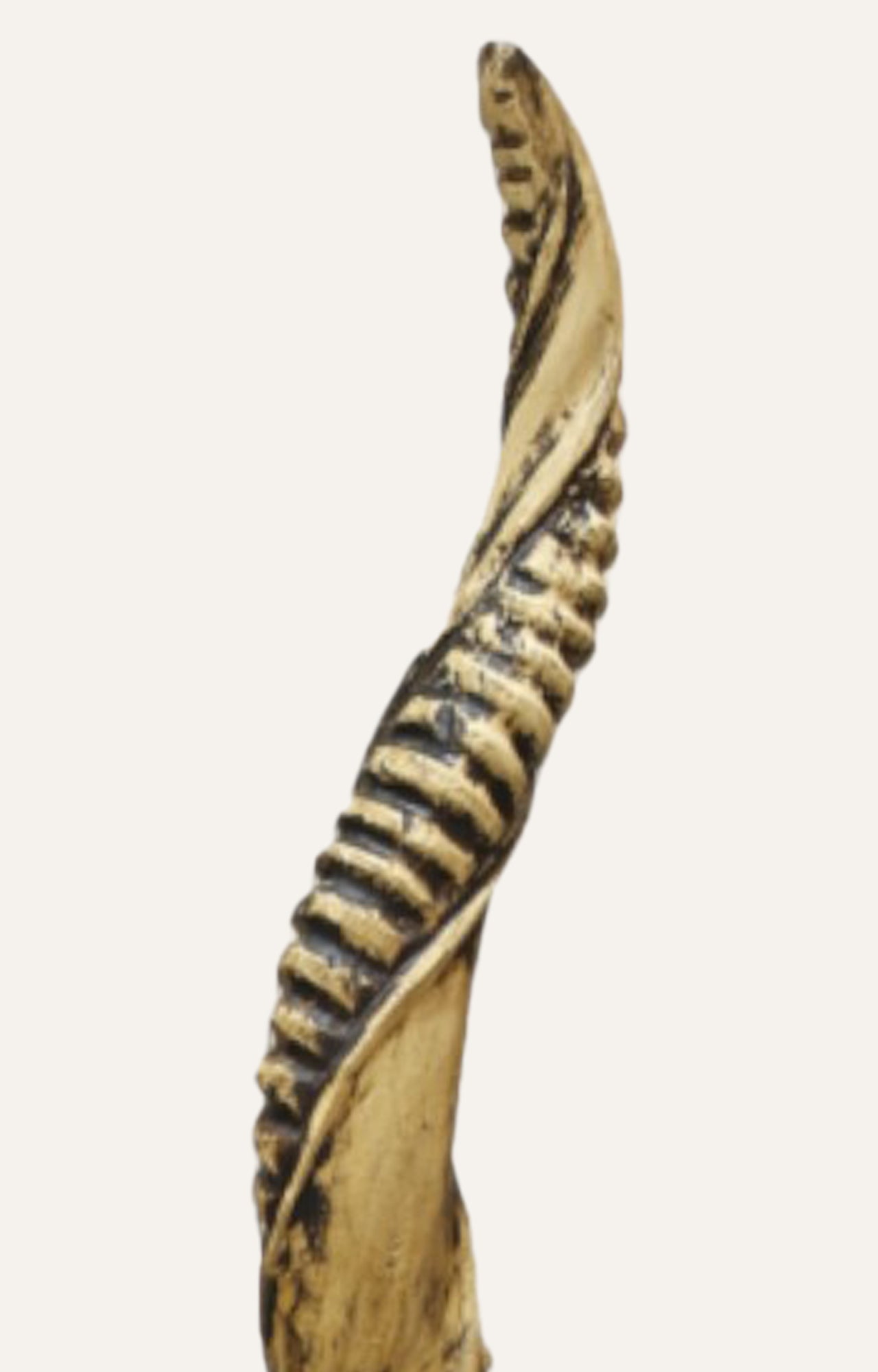 Faux Antler Sculptures with Glass Base - Set of 2