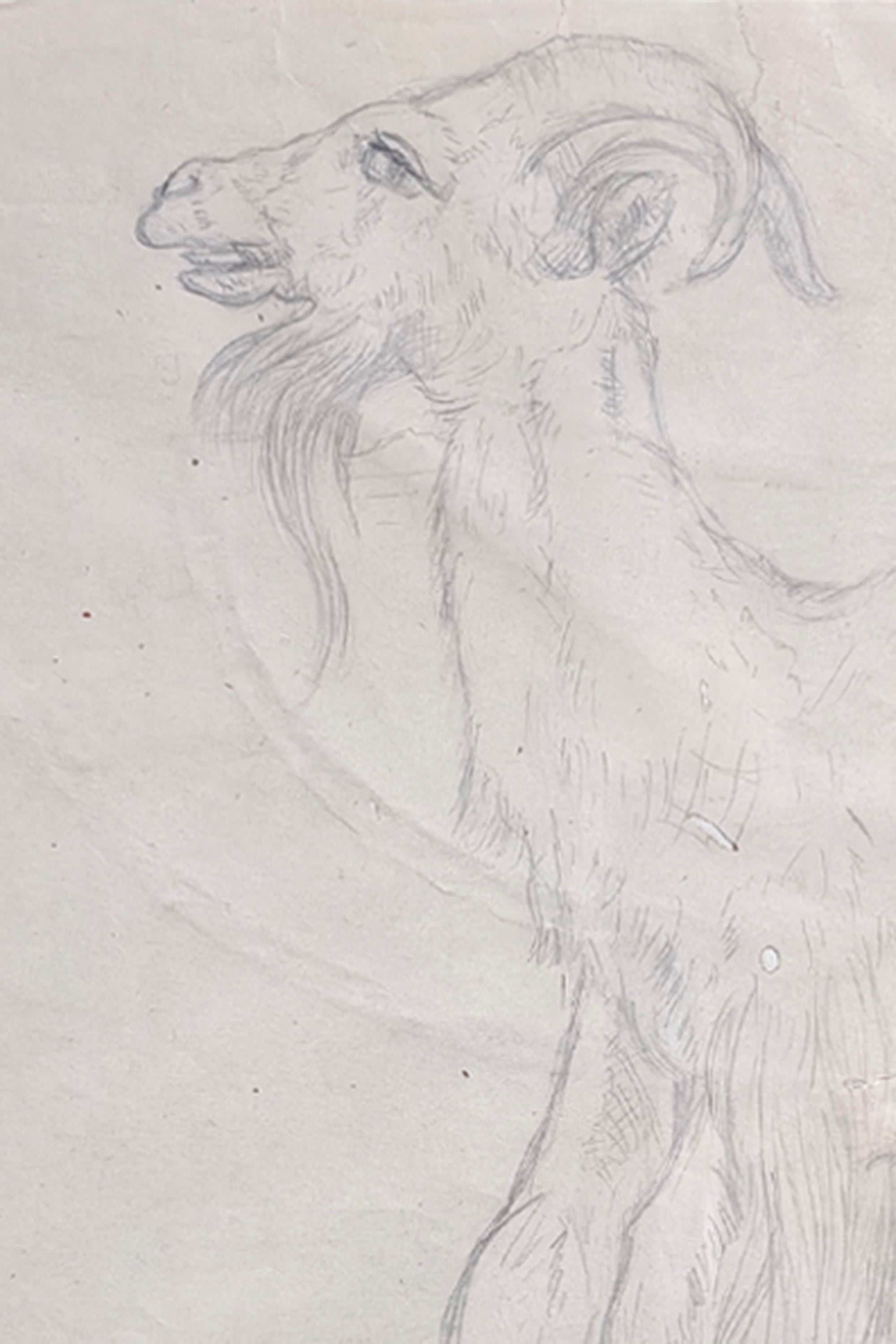 framed goat pencil sketch wall art