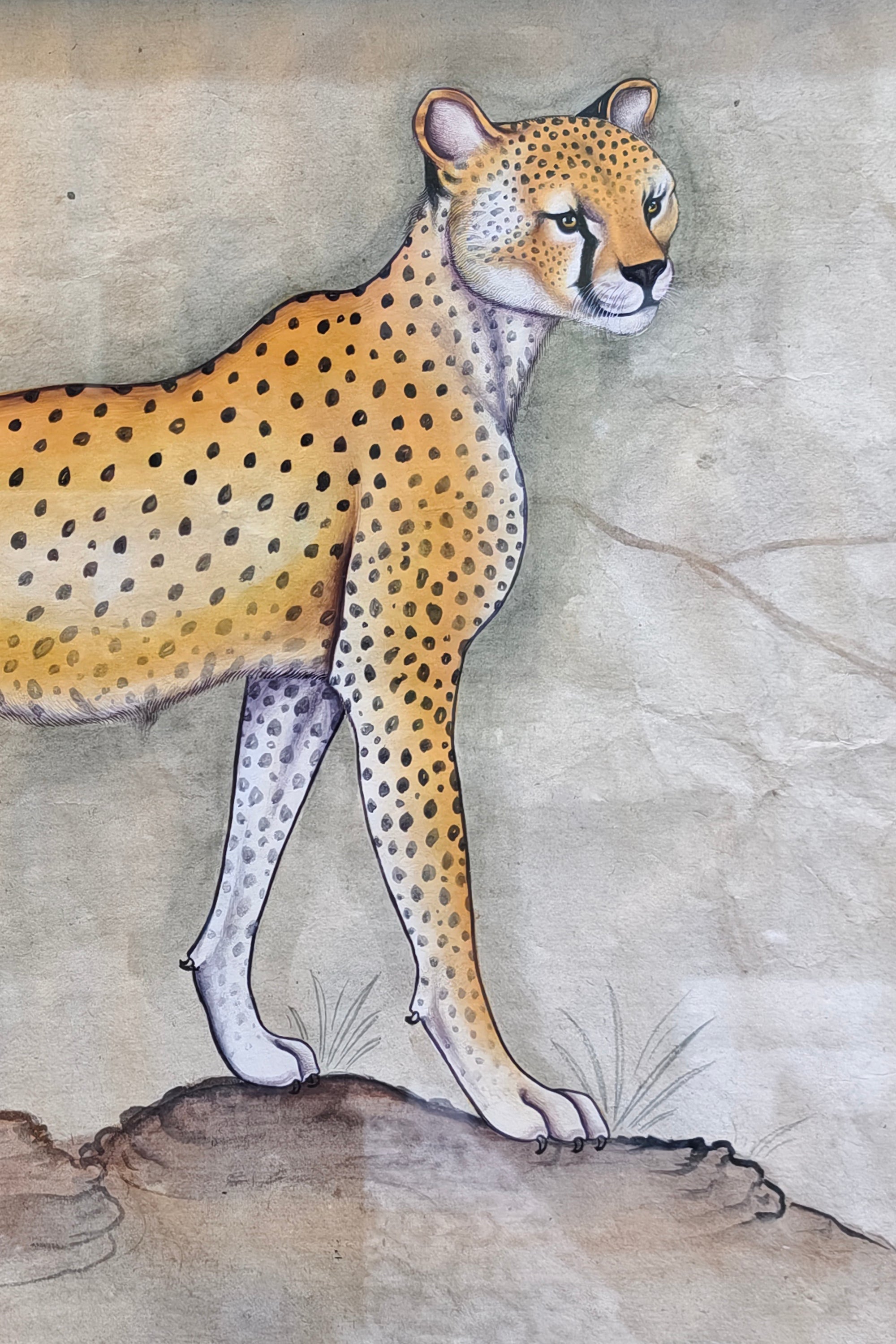 luxury cheetah wildlife wall art