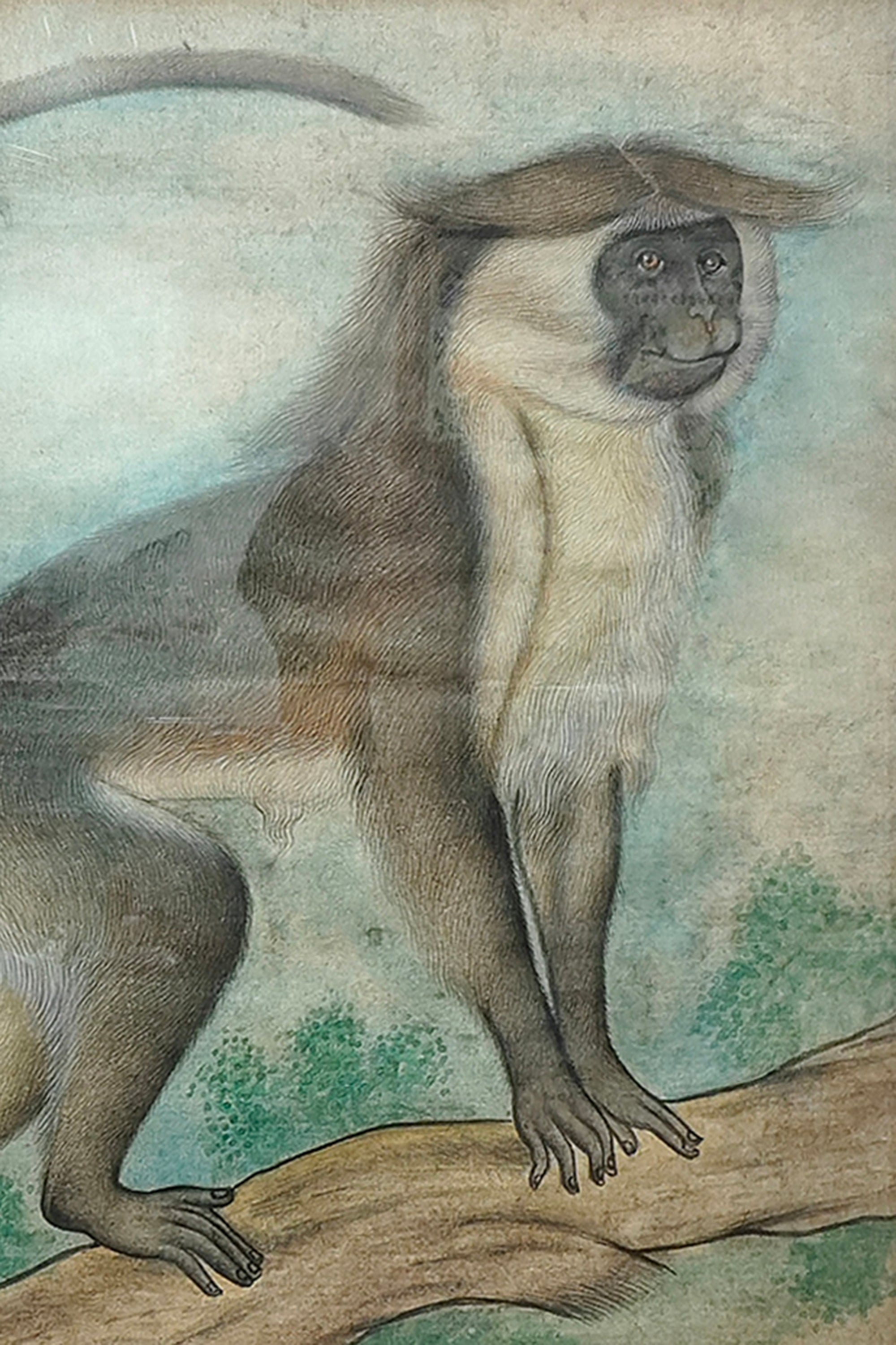 luxury monkey wall art