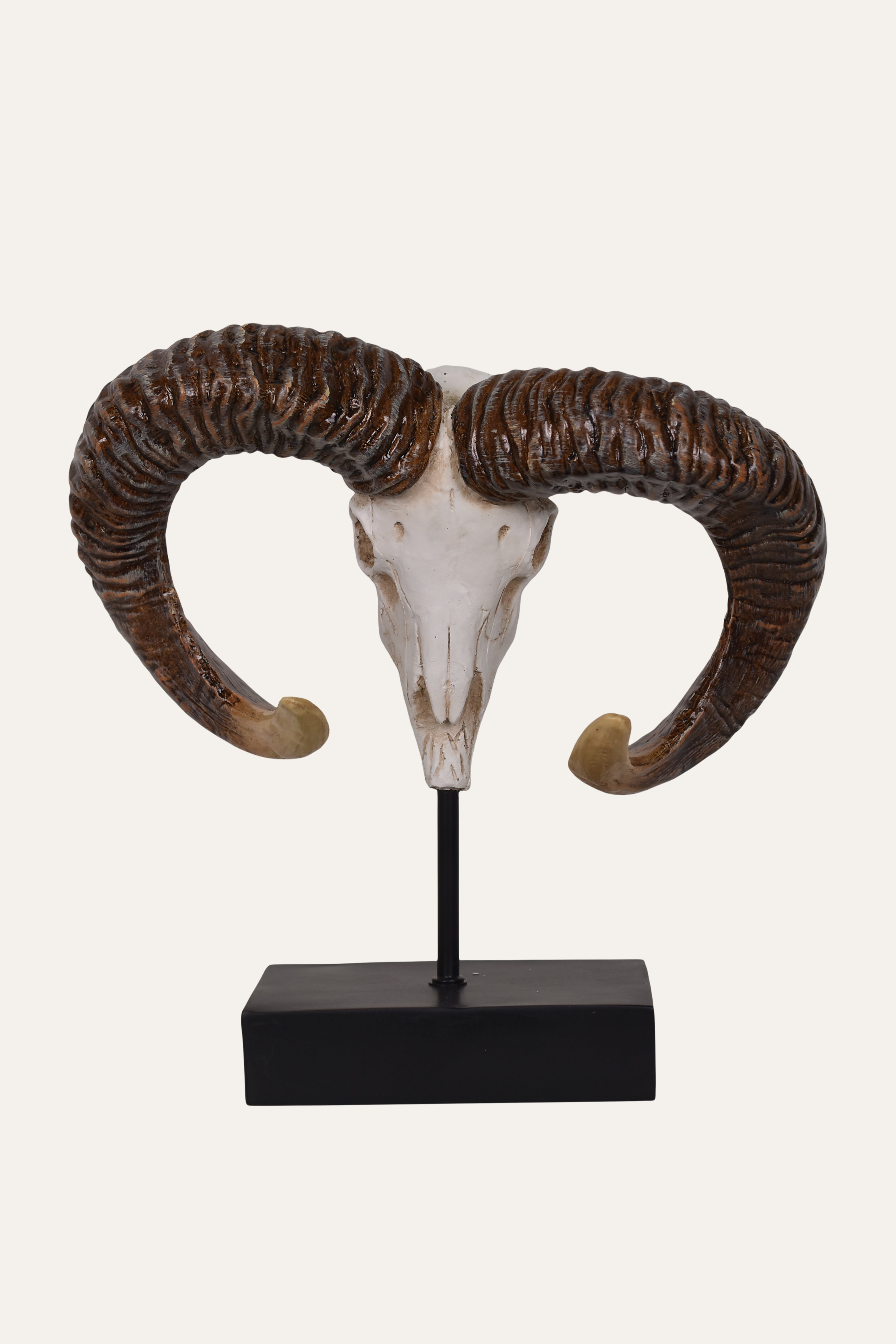 luxury ram skull decor for home interiors