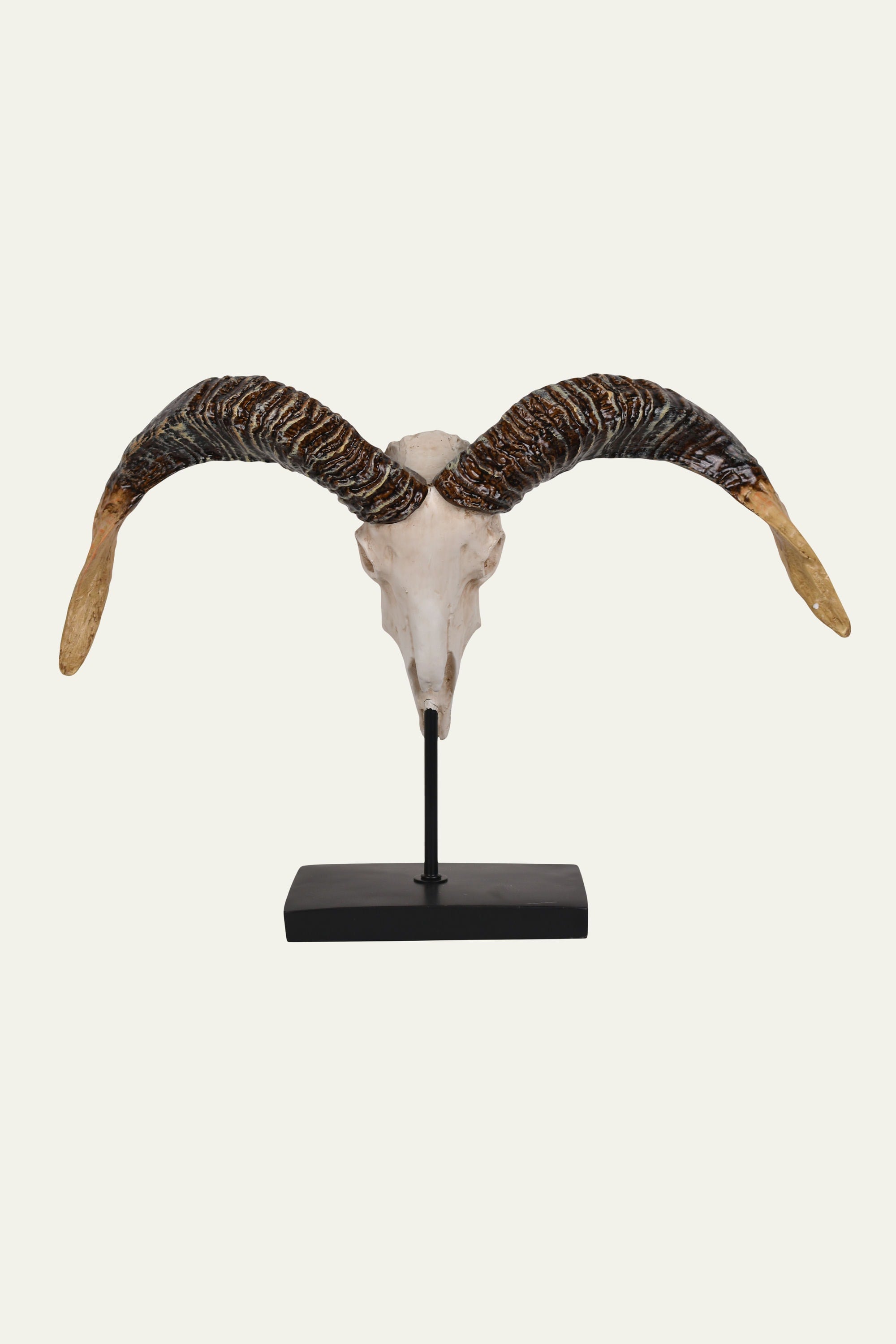 ram skull sculpture with wide horns