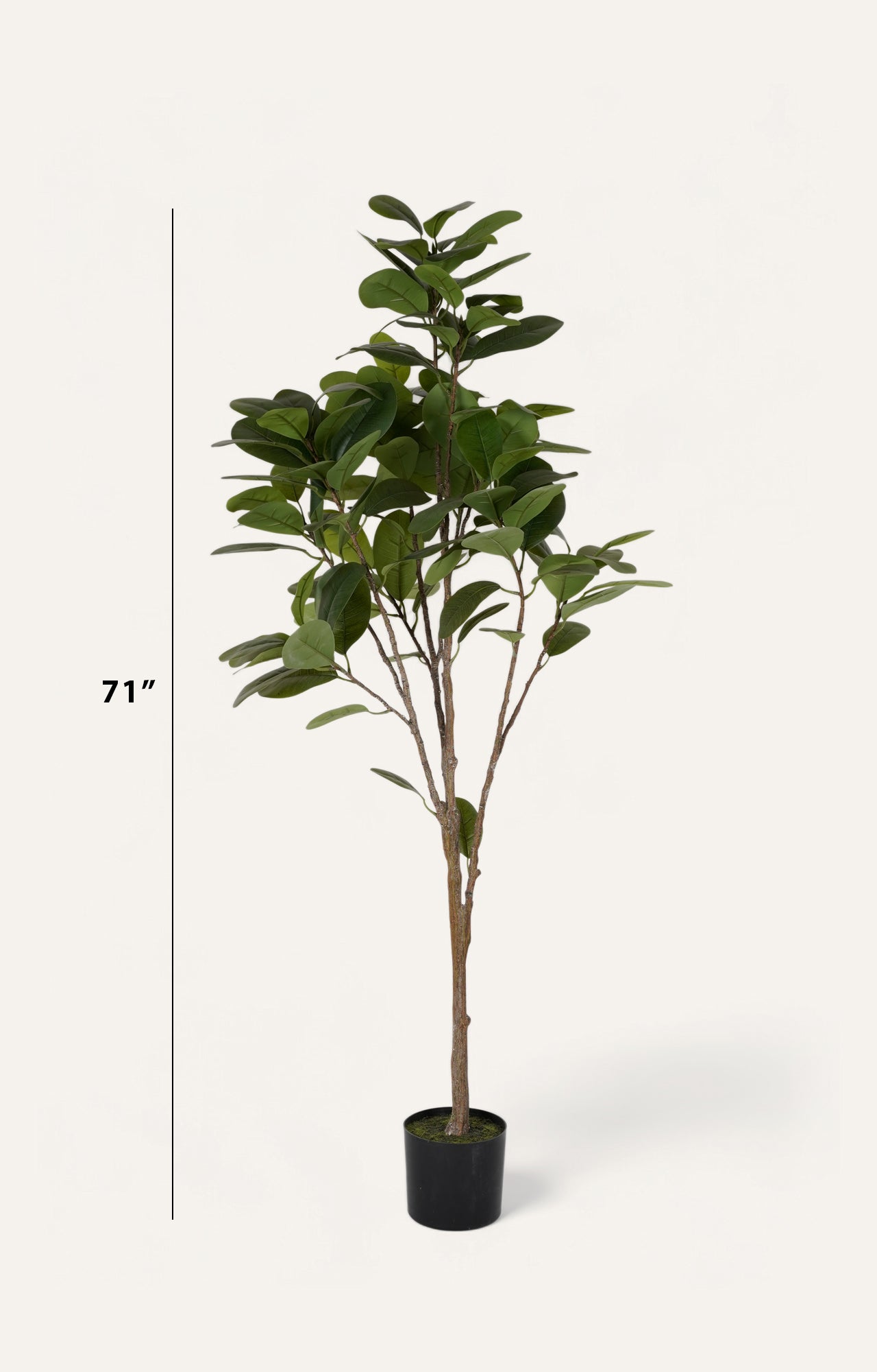 Artificial Green Ficus Tree - 6 Feet