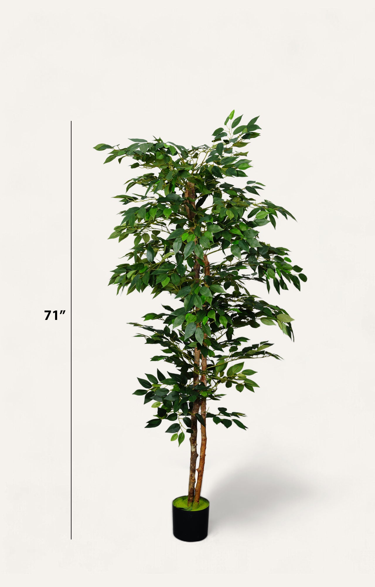 Artificial Ficus Tree – 6 Feet