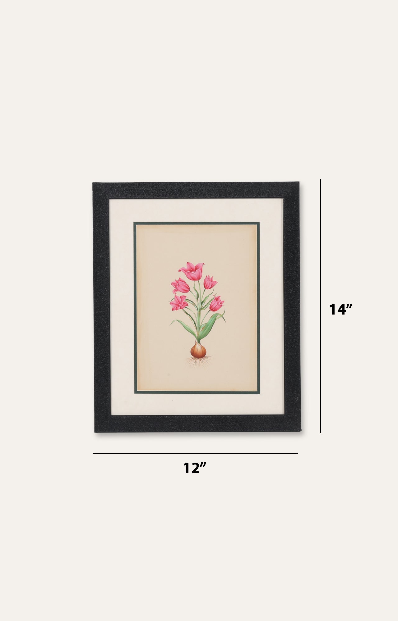 German Tulip by Basilius Besler - Miniature Painting