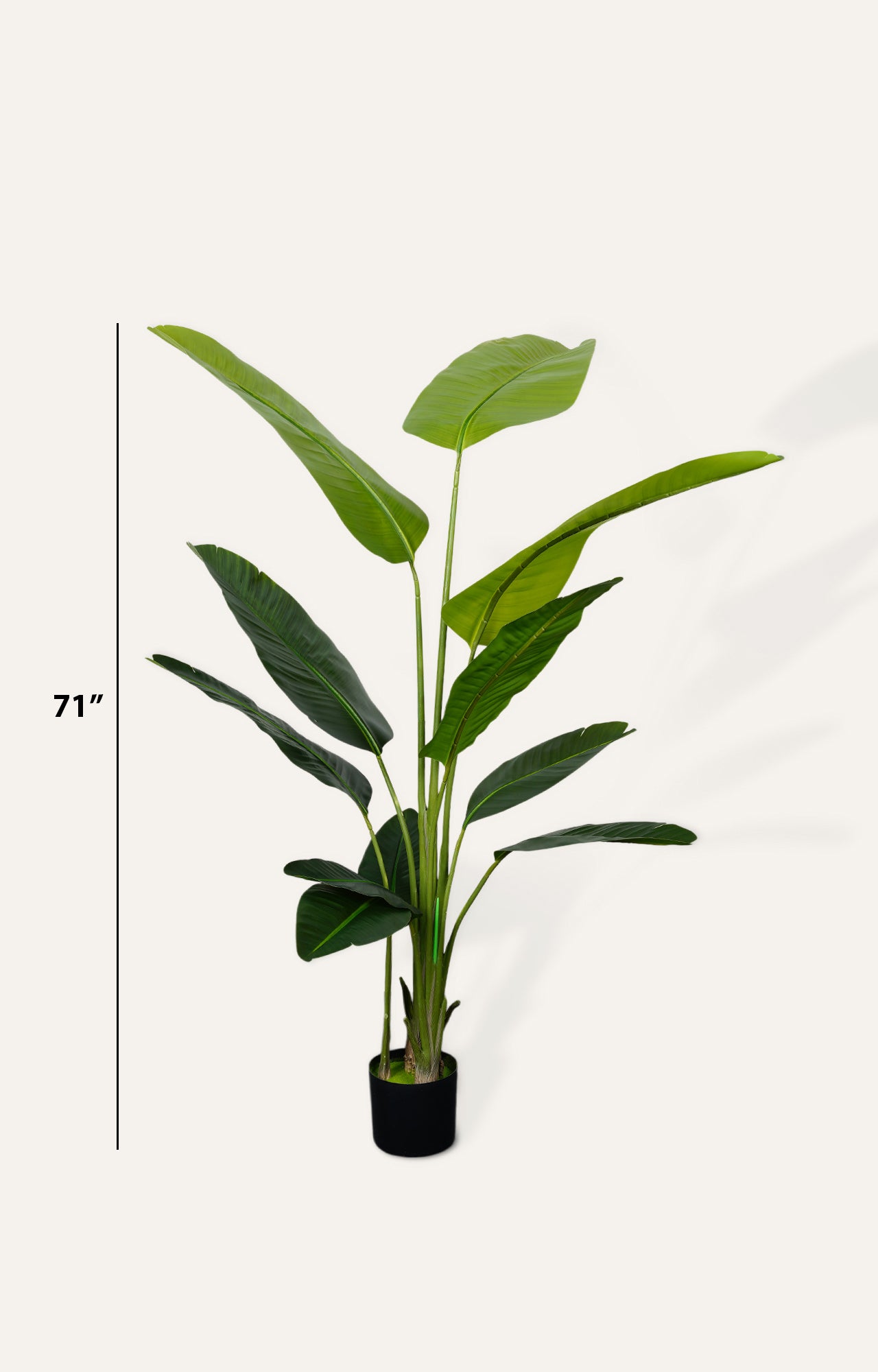 Artificial Bird of Paradise Plant – 6 Feet