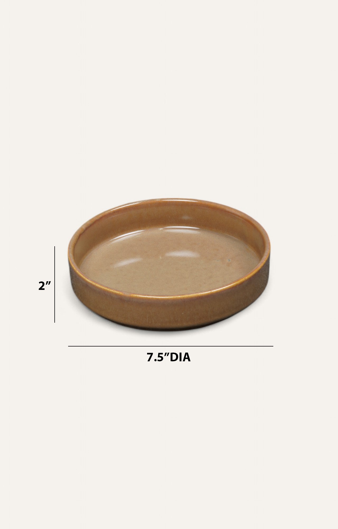 Earth-Toned Flat Ceramic Bowl