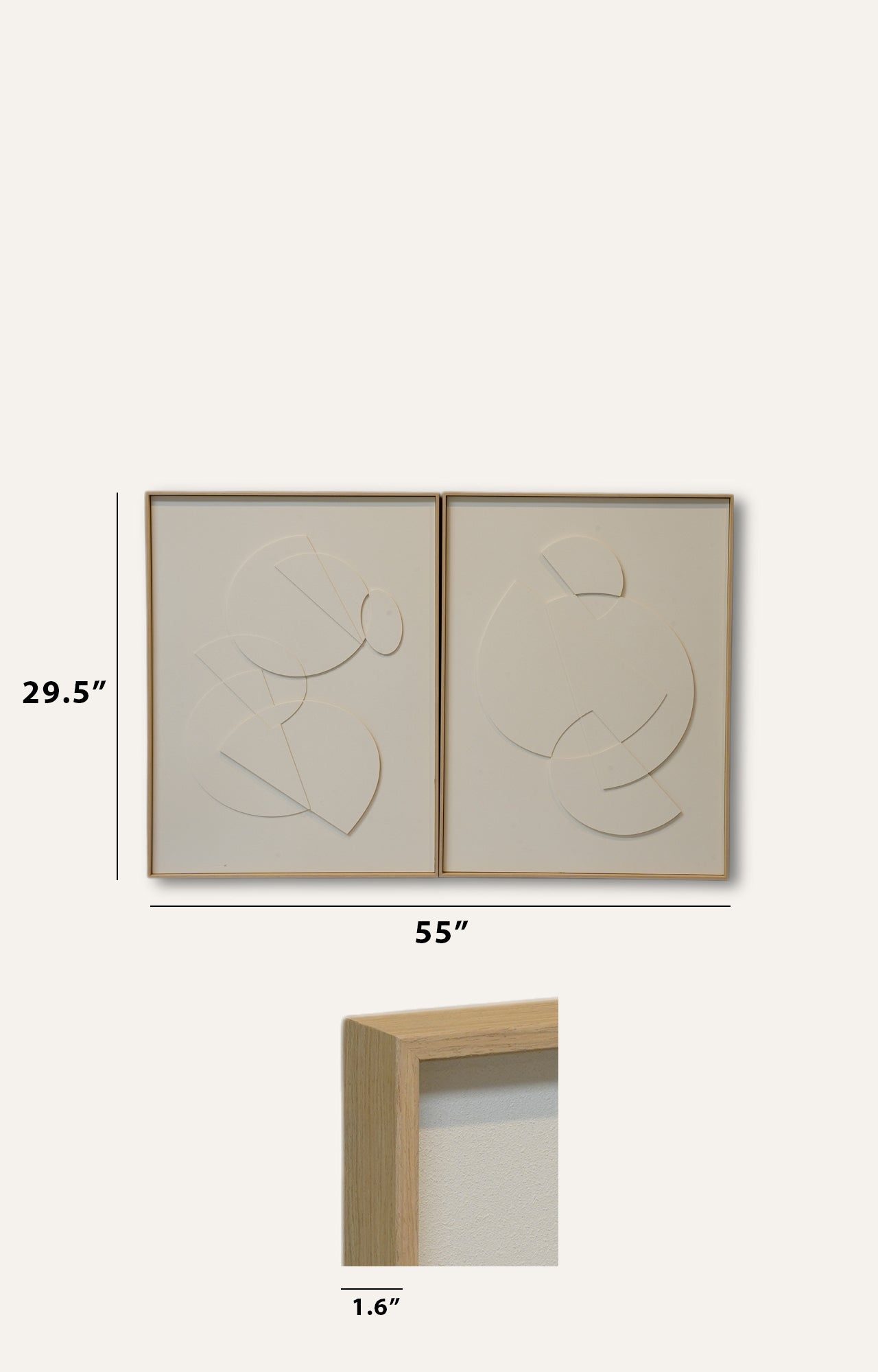 Set of 2 Illusion 3D Sculpture Wall Art Relief on Canvas