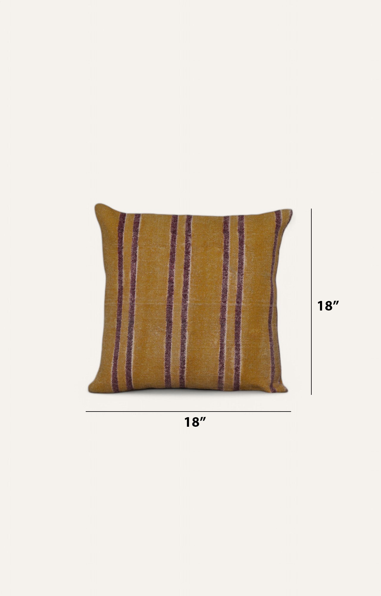Striped Printed Cushion
