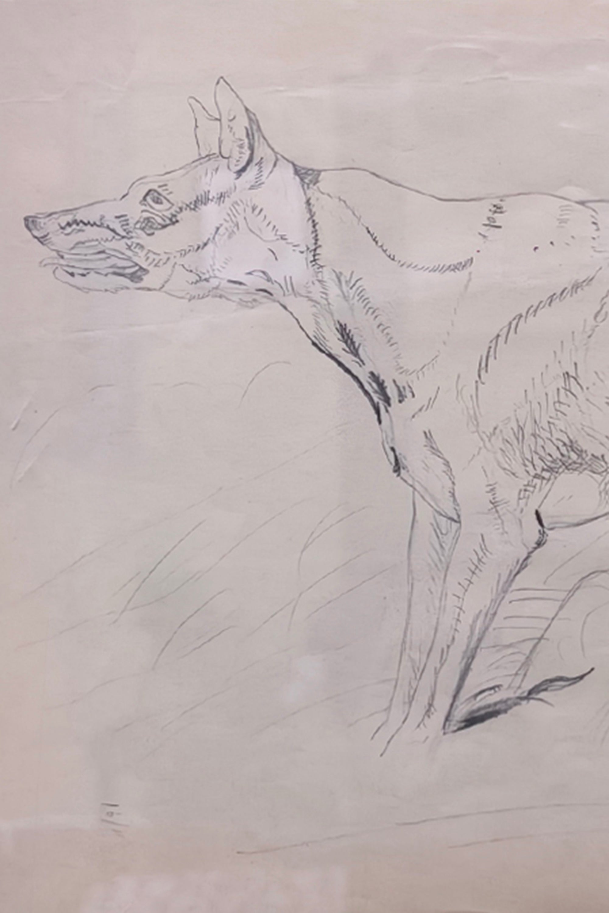 wildlife pencil drawing wall decor