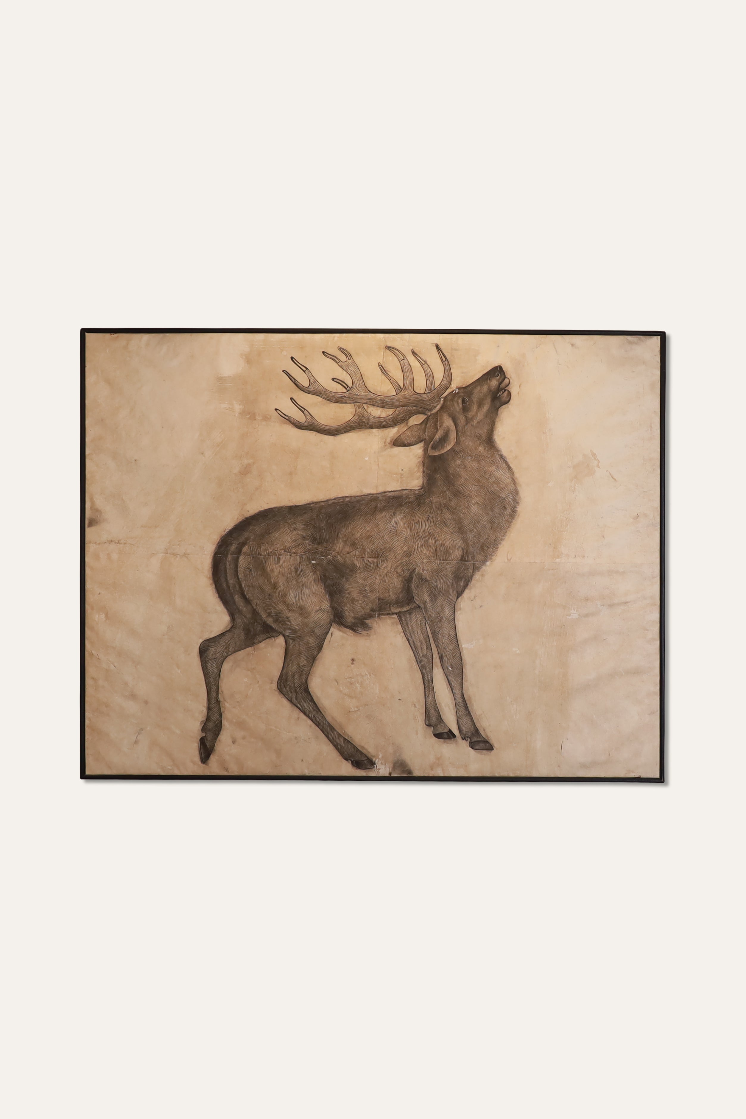 Stag Wildlife Wall Sketch for Home Libraries & Office Spaces