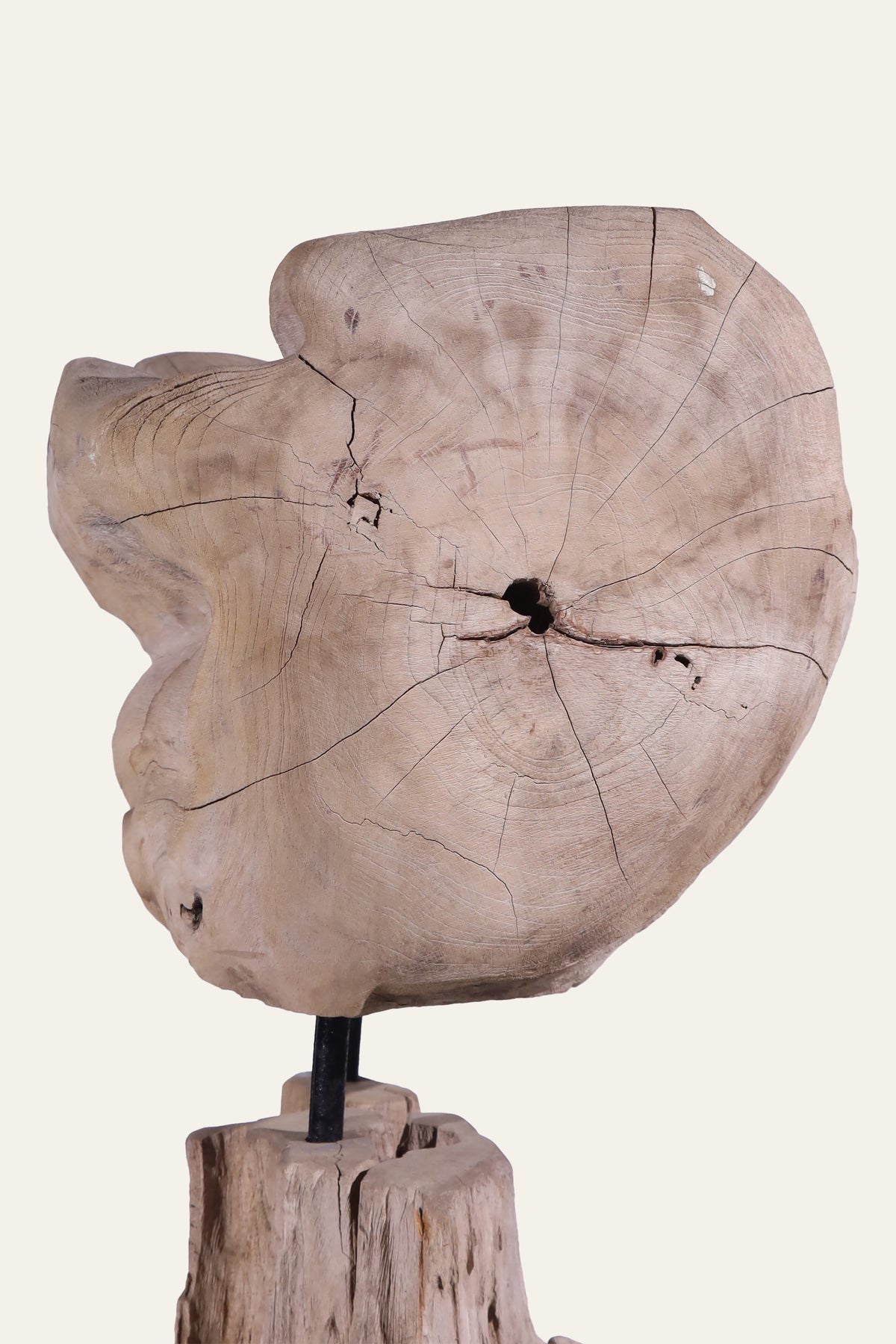 100-year-old root wood bowl stand