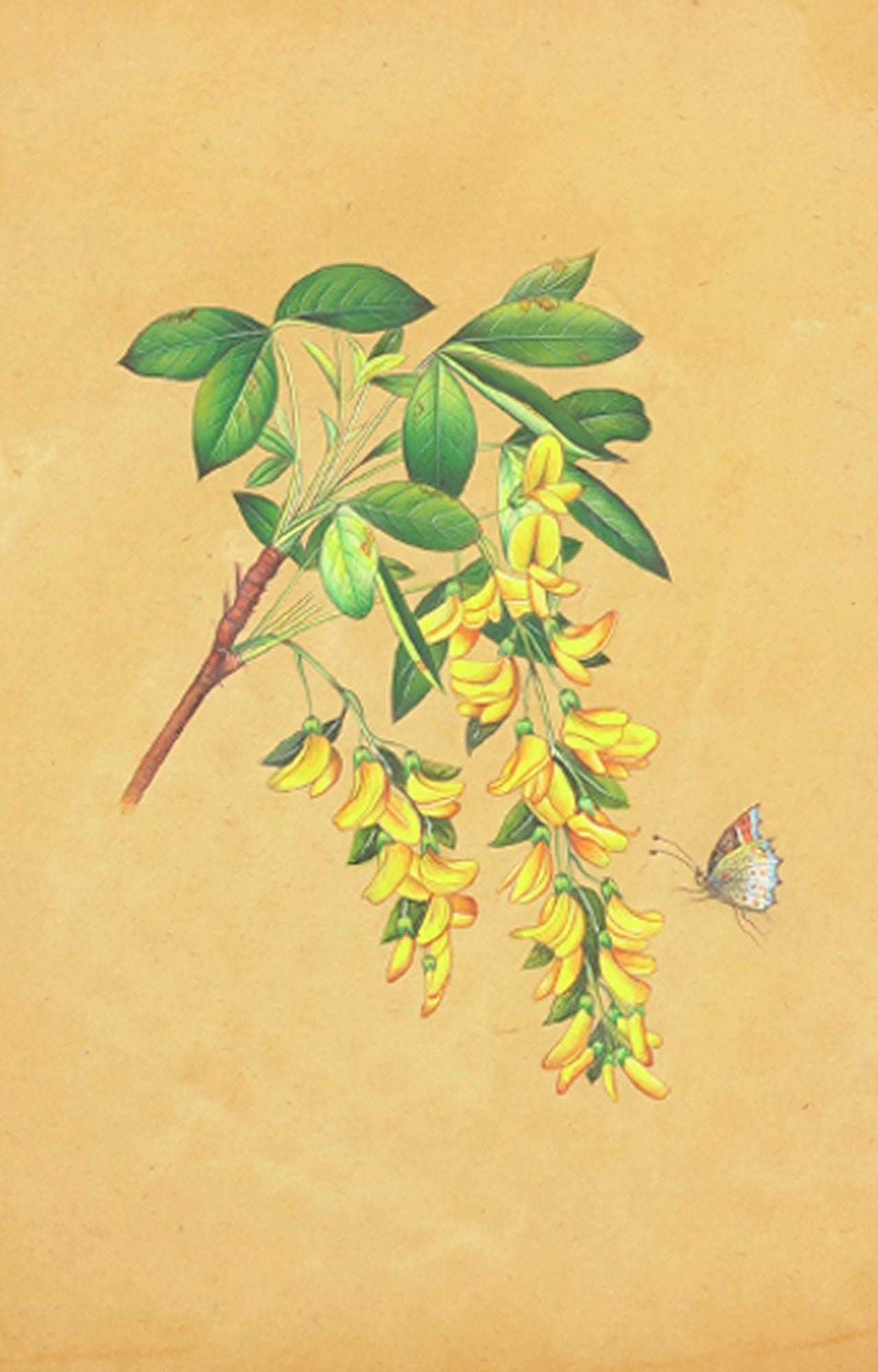 Handmade Painting