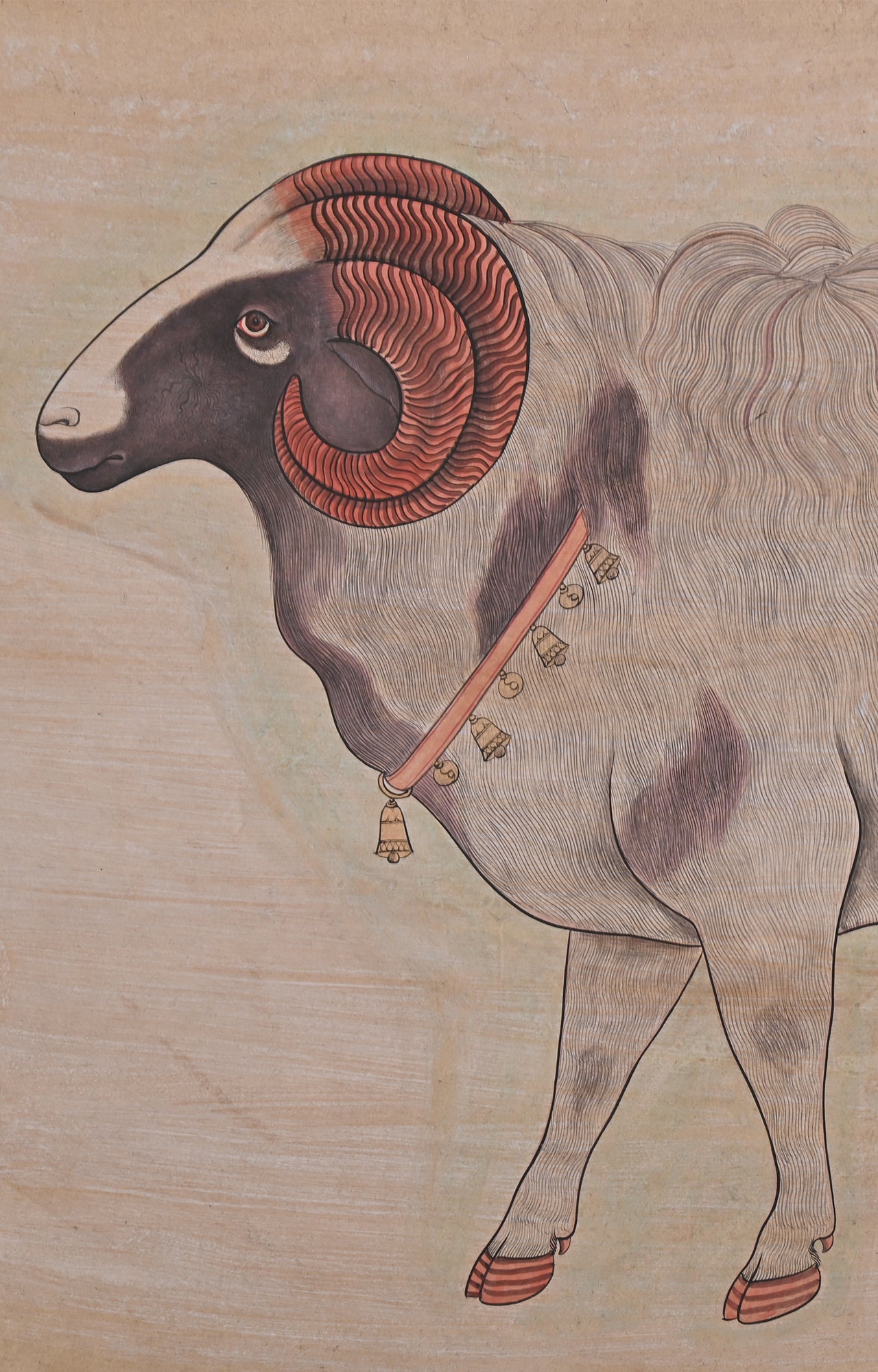 A royal ram with gold chain