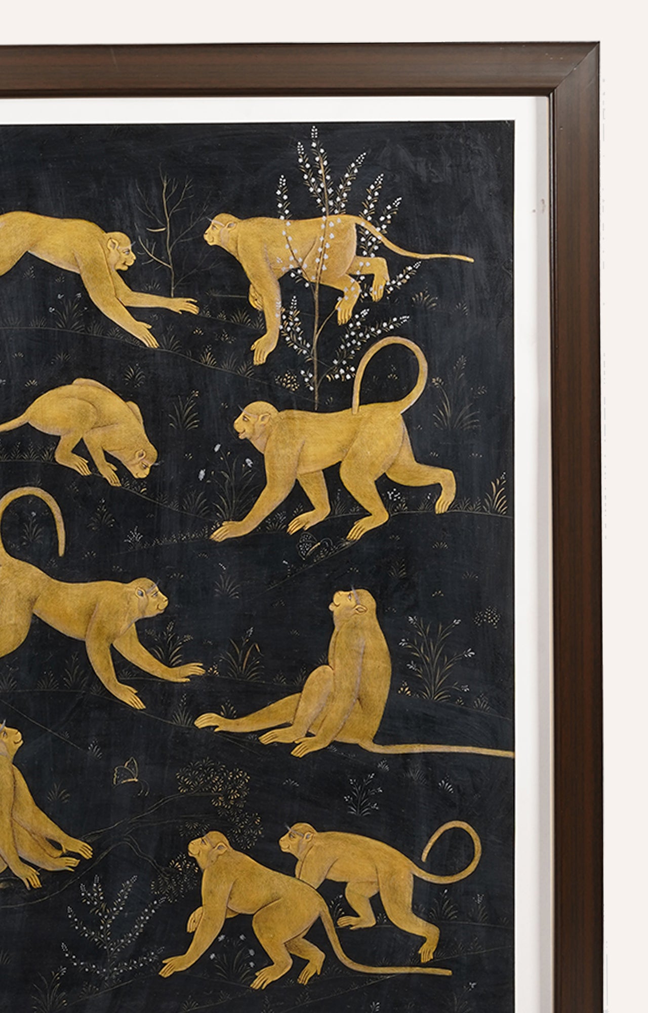 Framed artwork of monkey 